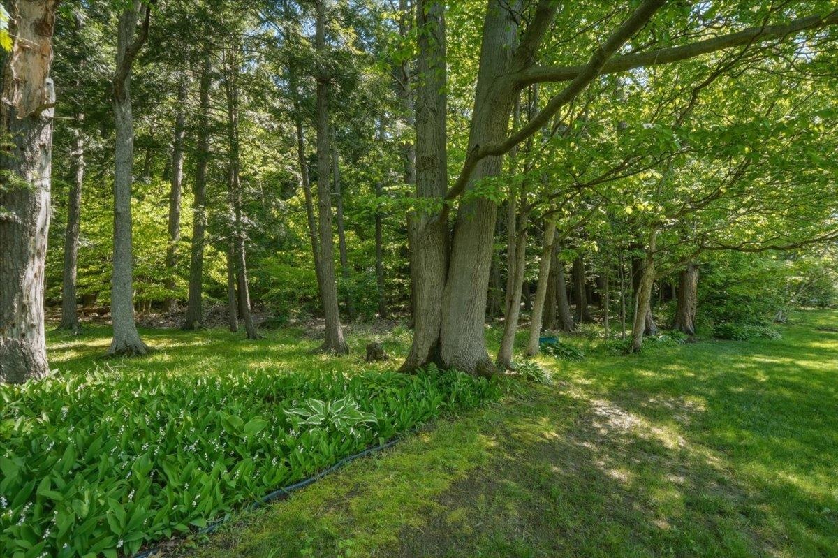 585 Hanon Drive