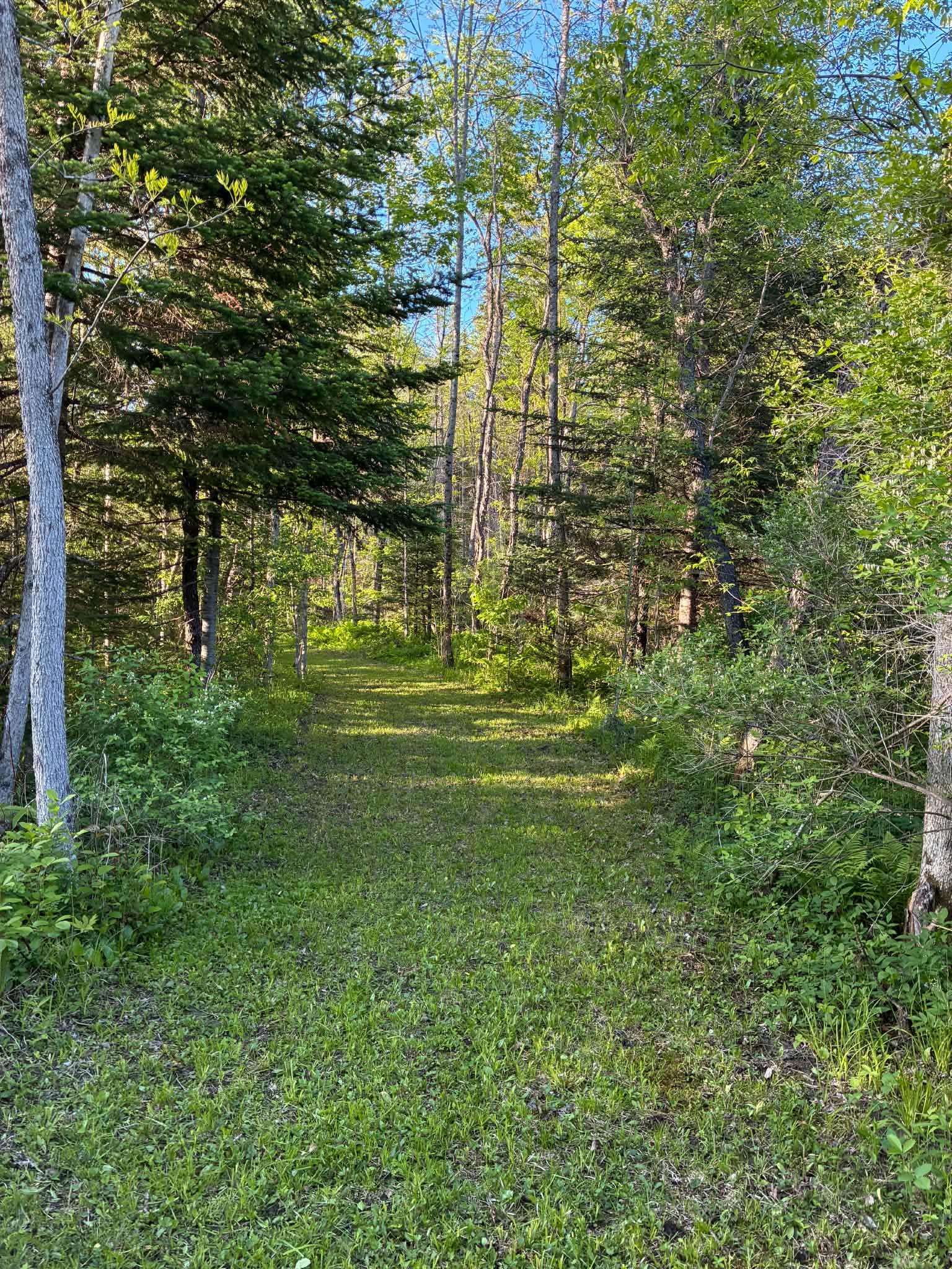 Grist Mill Pit Road