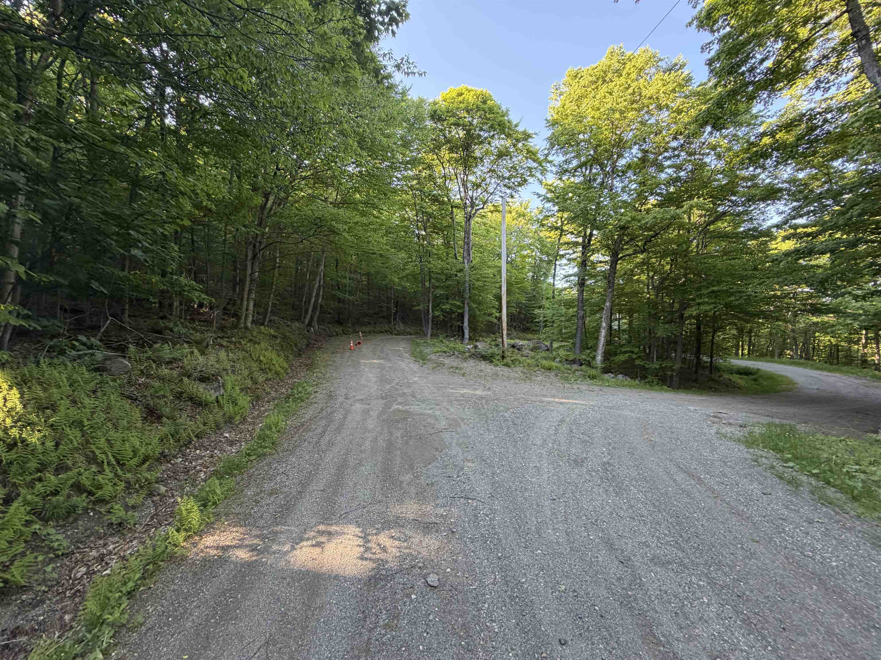 Scattered Timber Road