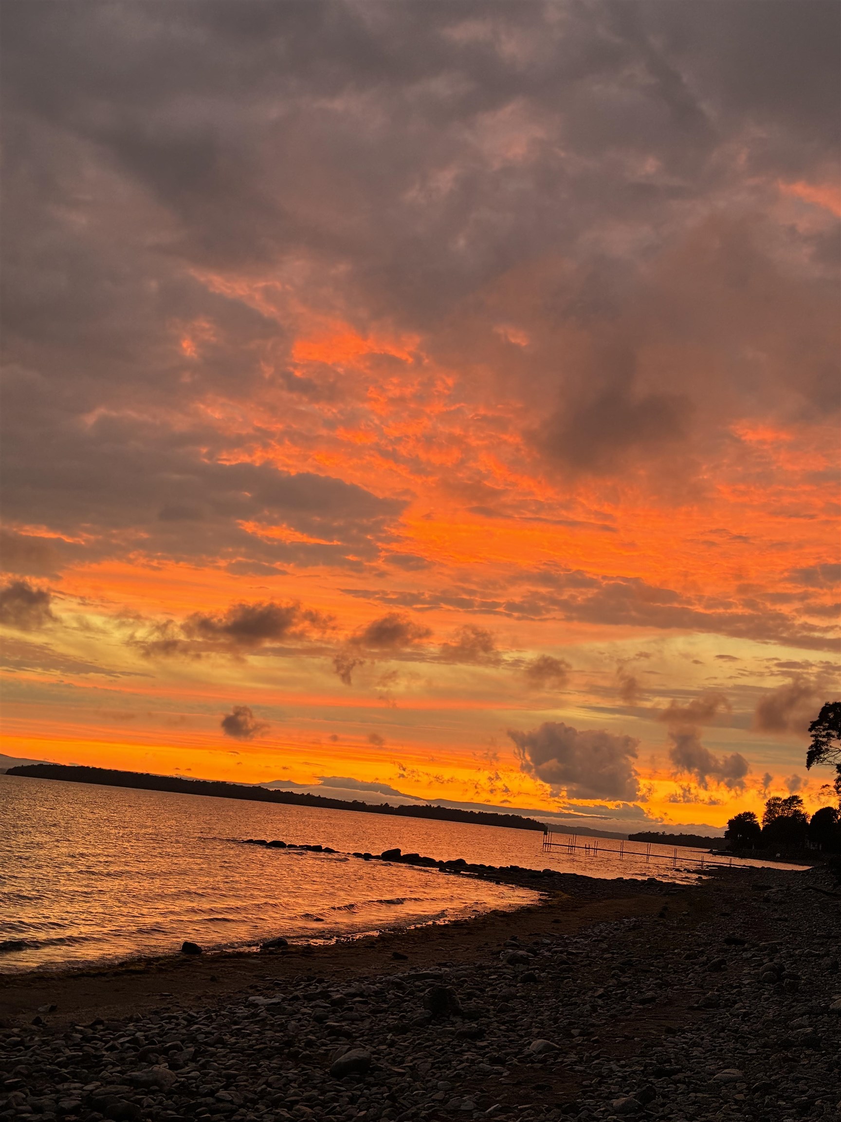 8 & 12 Cedar Street