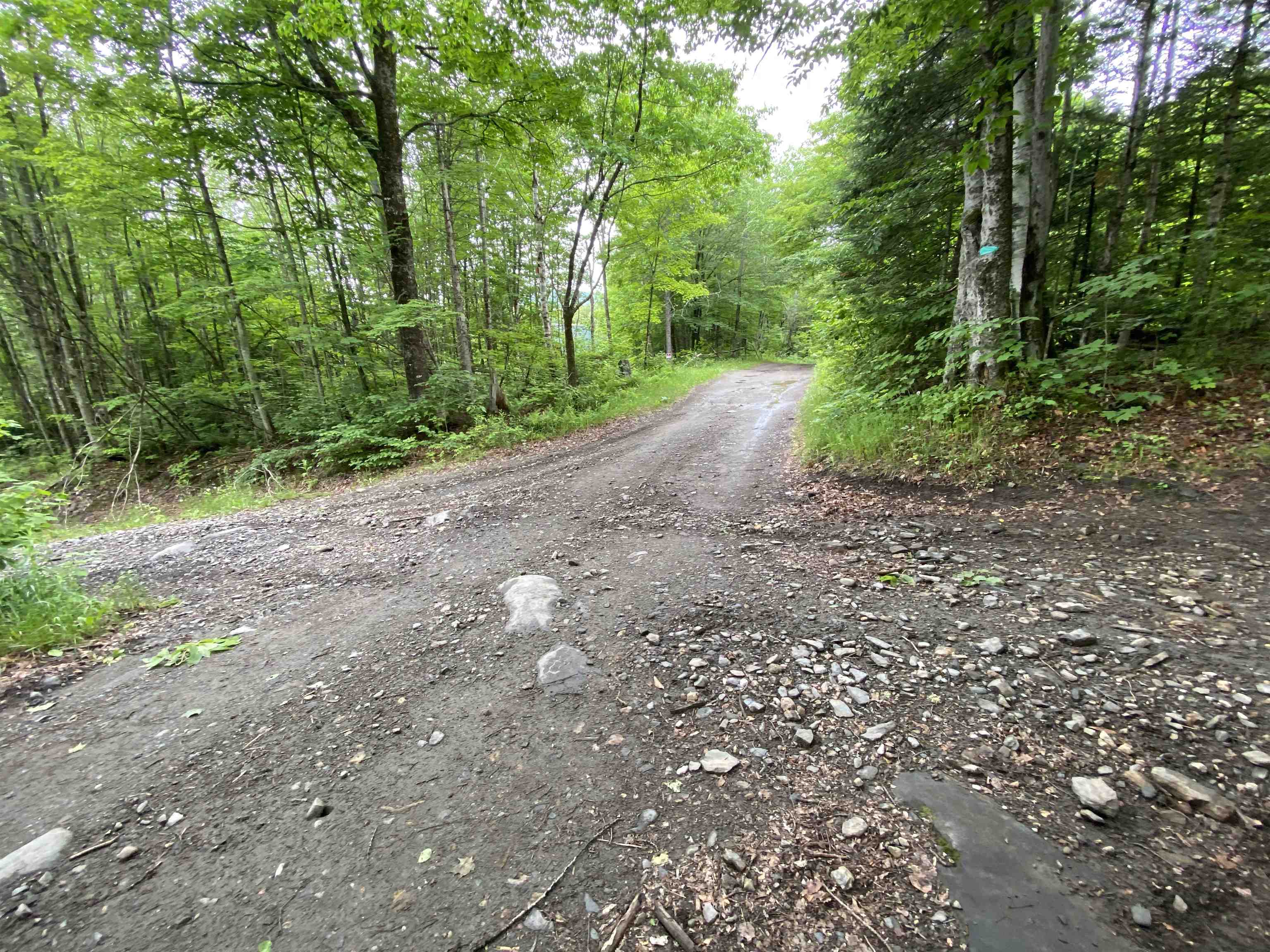 230 Blodgett Road