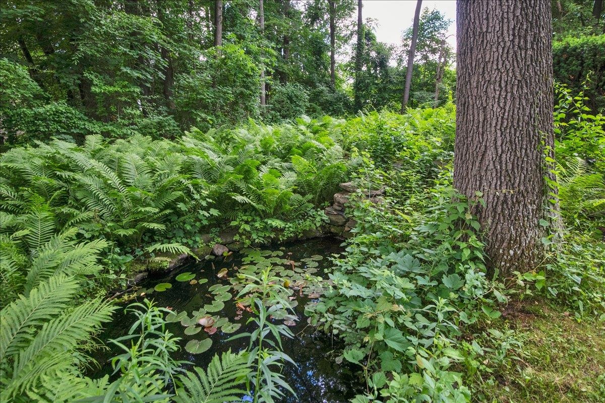 10 Birch Lane