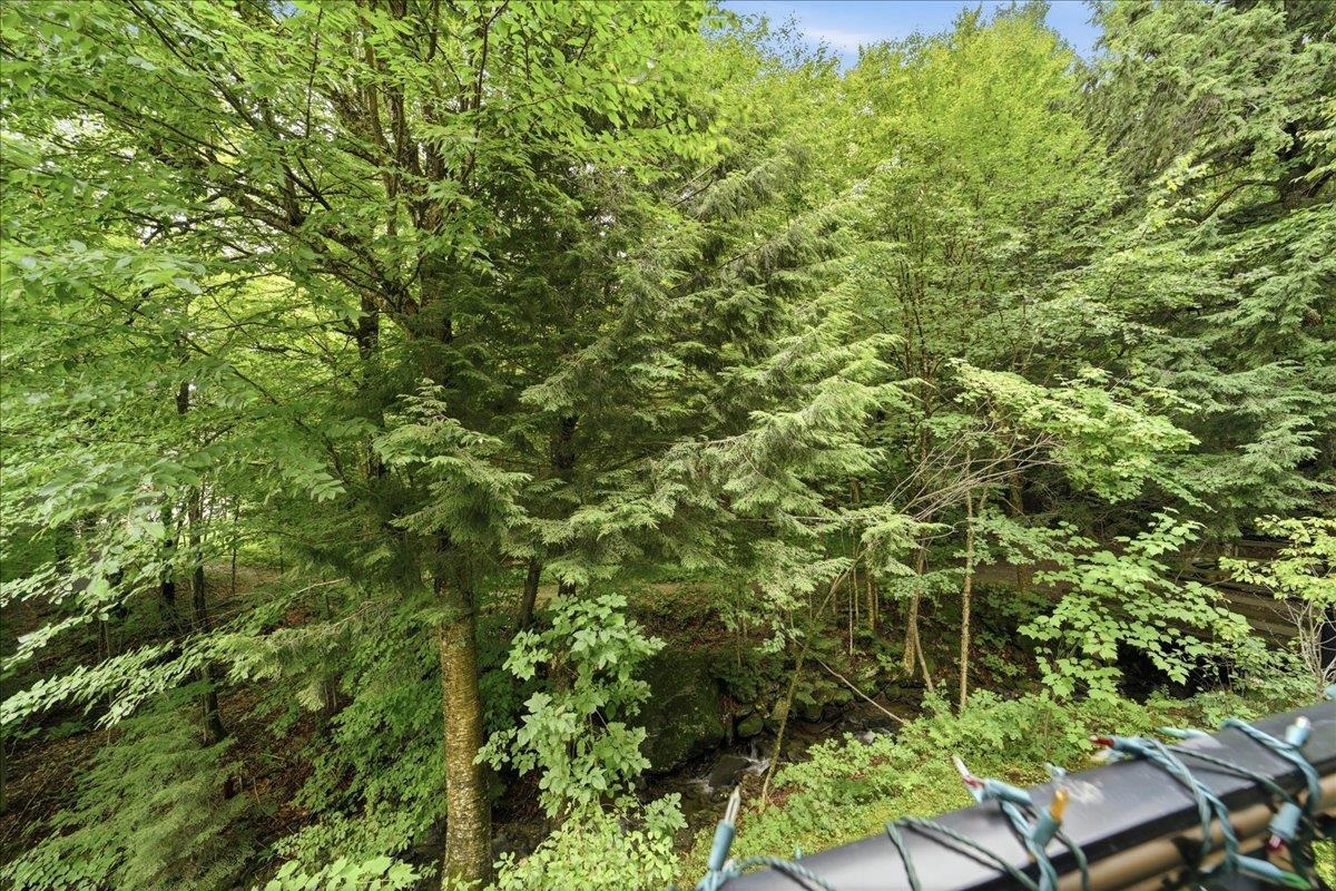 251 Mountainside Drive Unit: 88