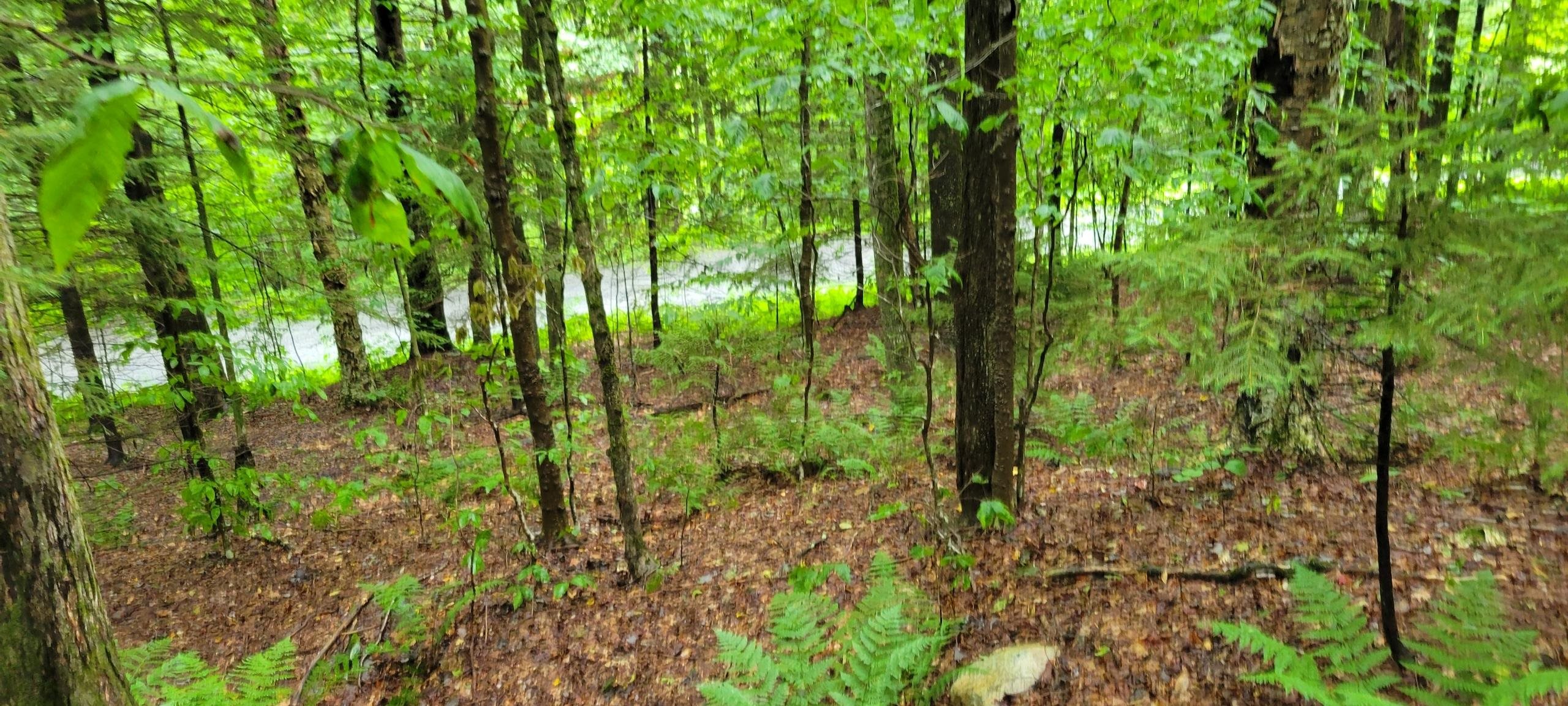 00 Heartwellville View Road Unit: 38