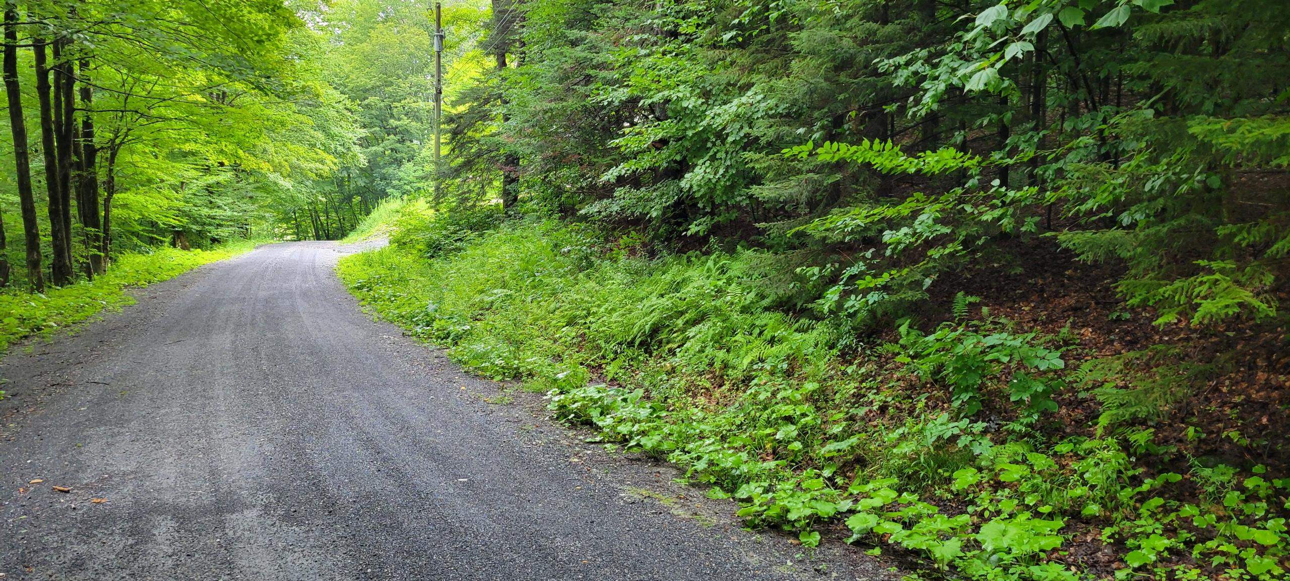 00 Heartwellville View Road Unit: 38