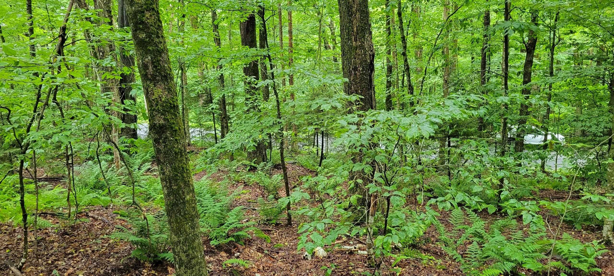 00 Heartwellville View Road Unit: 38