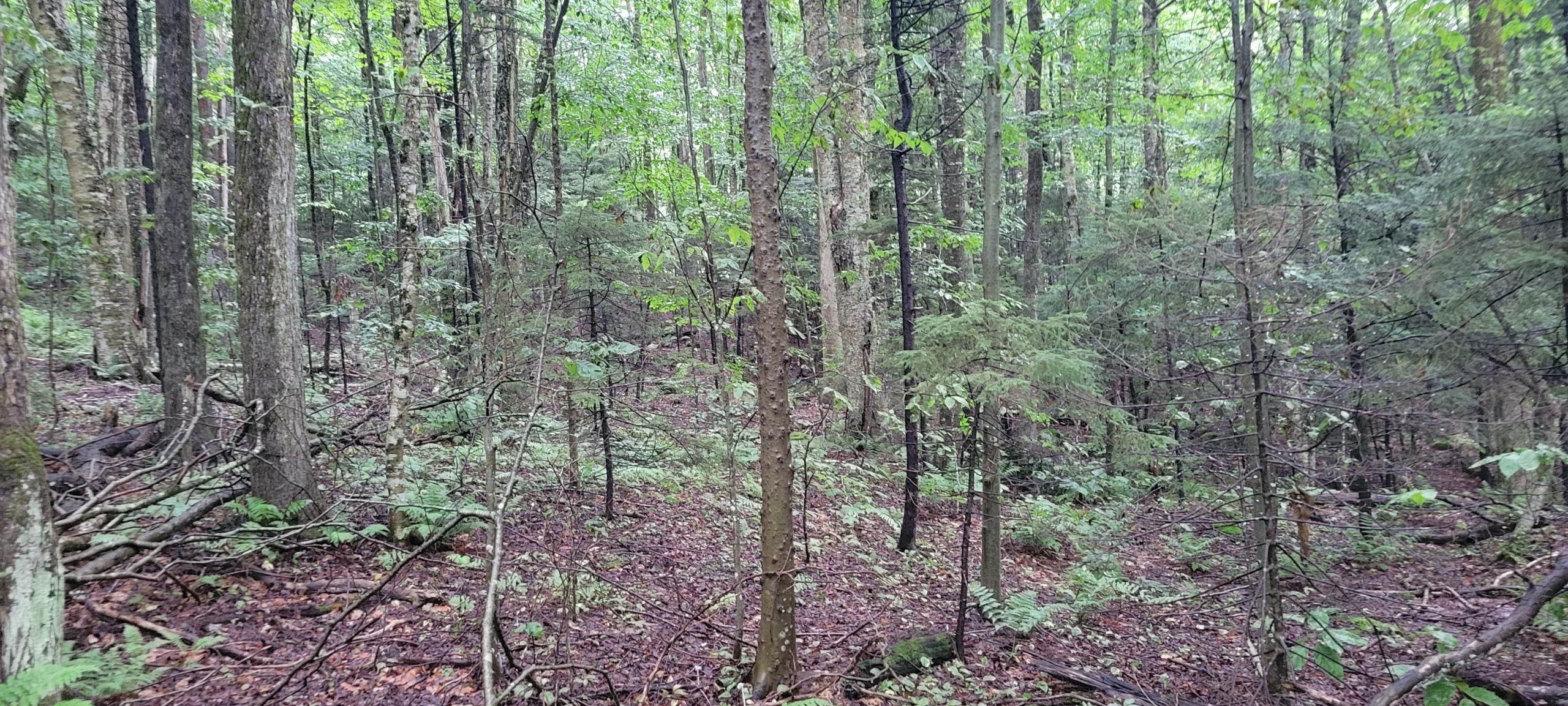 00 Heartwellville View Road Unit: 69
