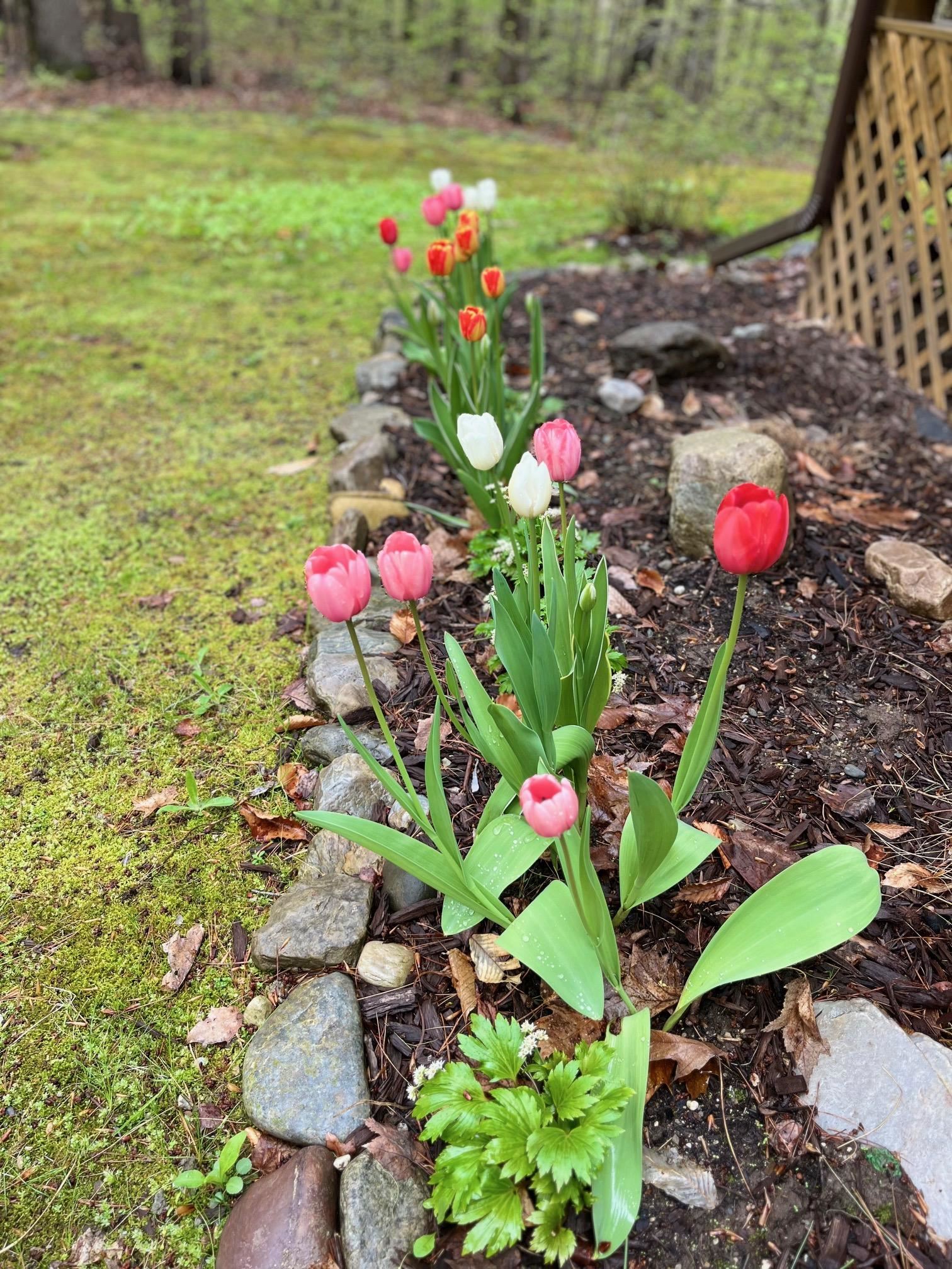 17 Forest Ridge Road