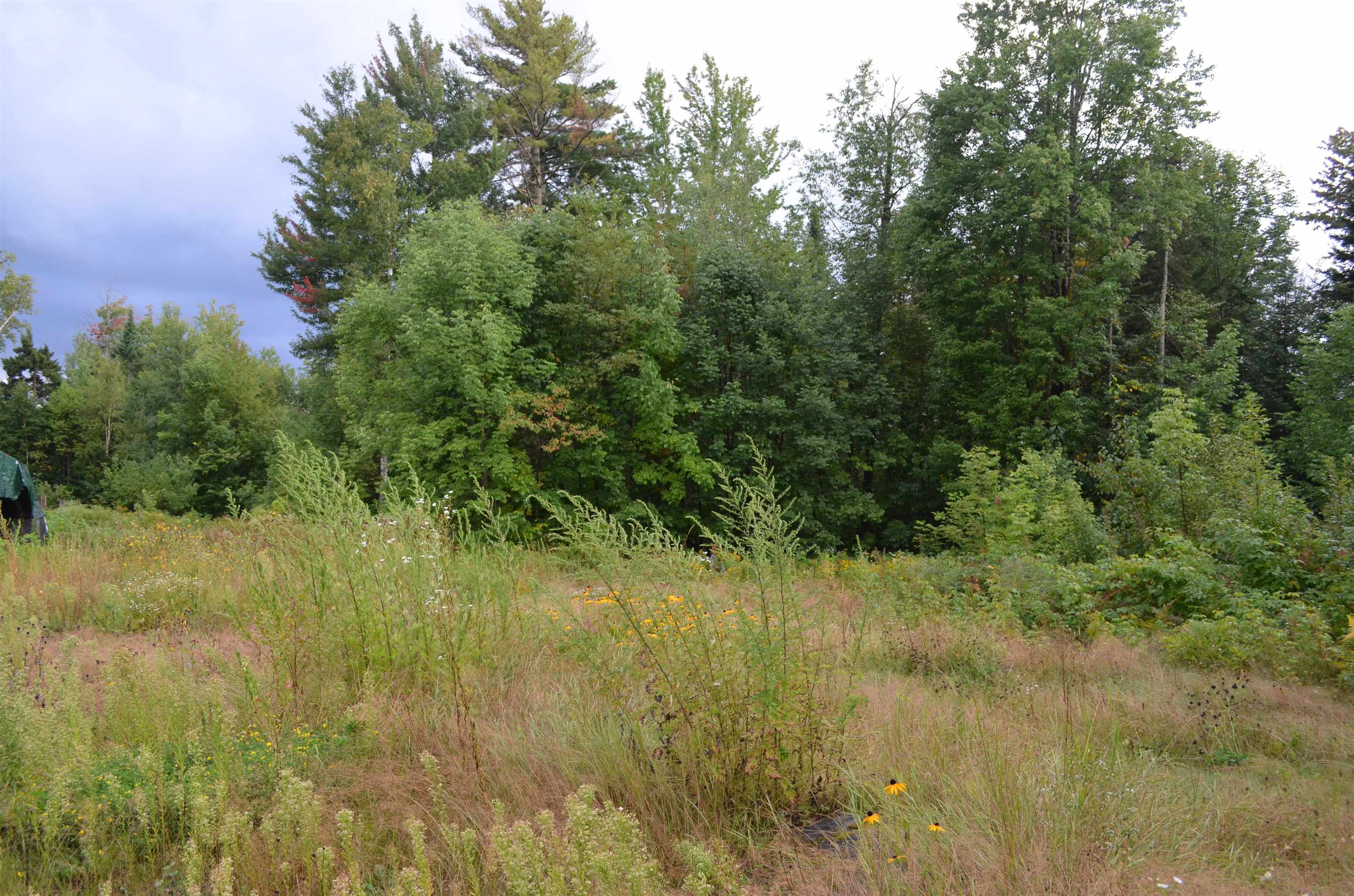1931 W. Lunenburg Road