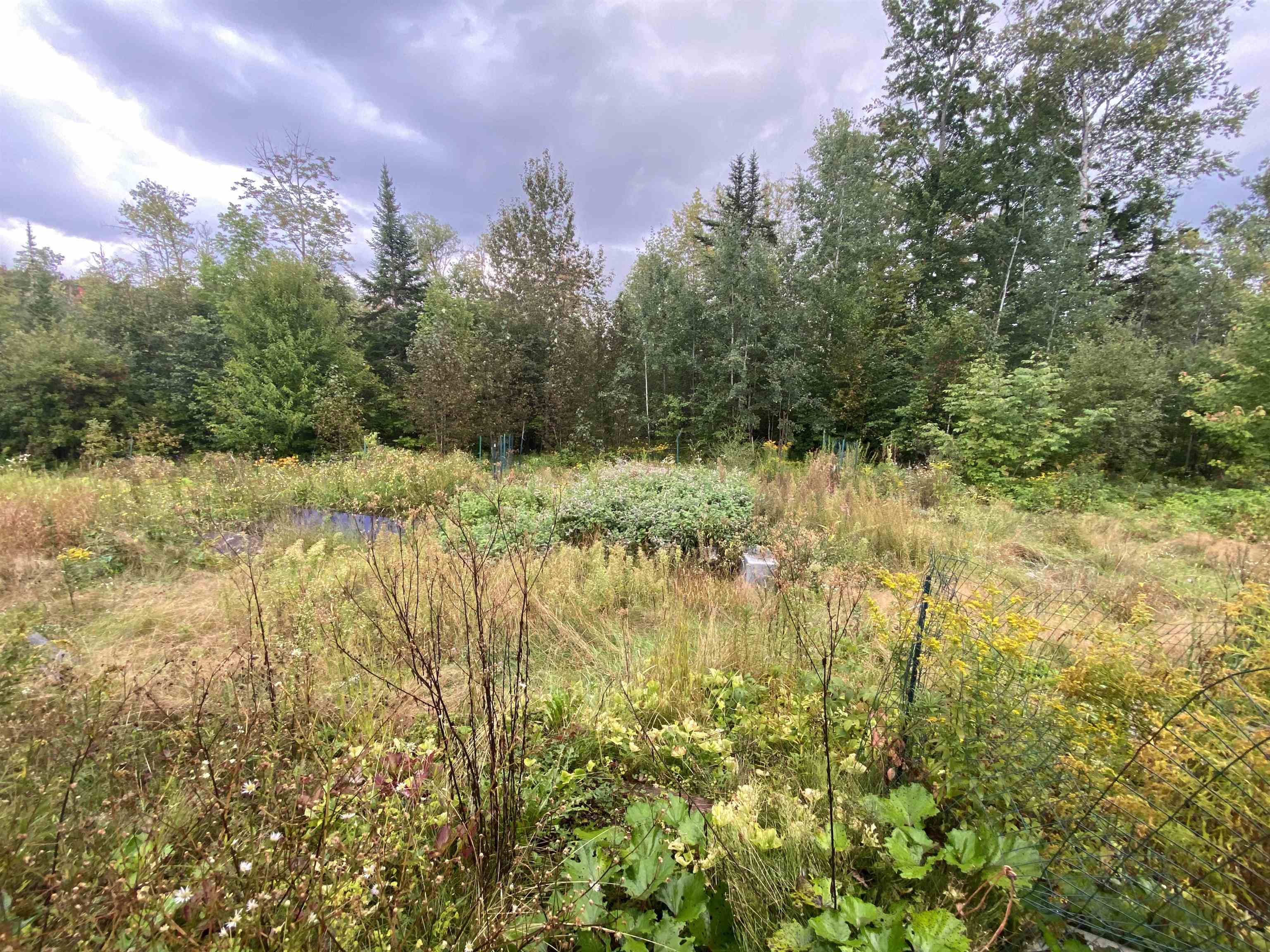 1931 W. Lunenburg Road