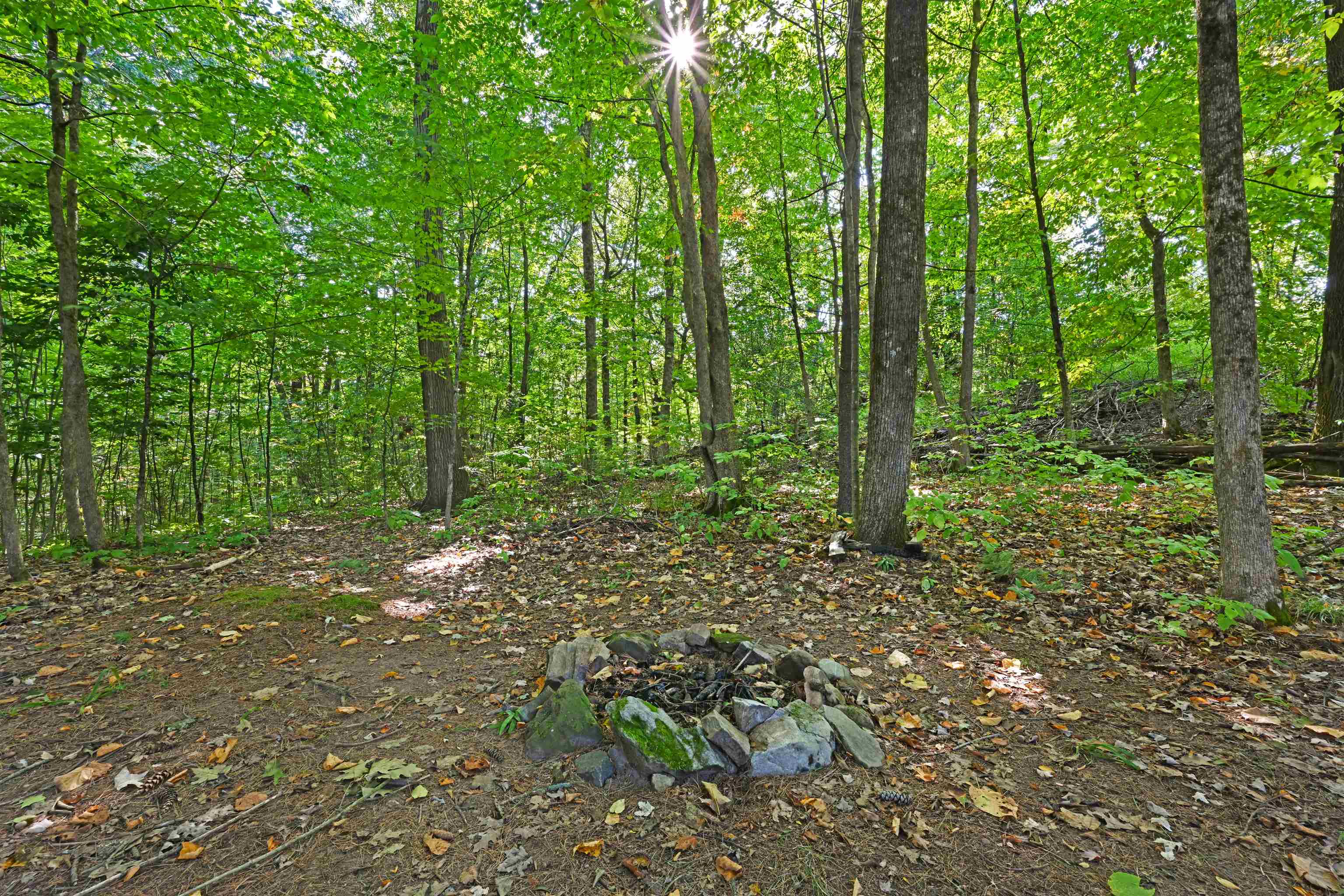 151 Colden Road