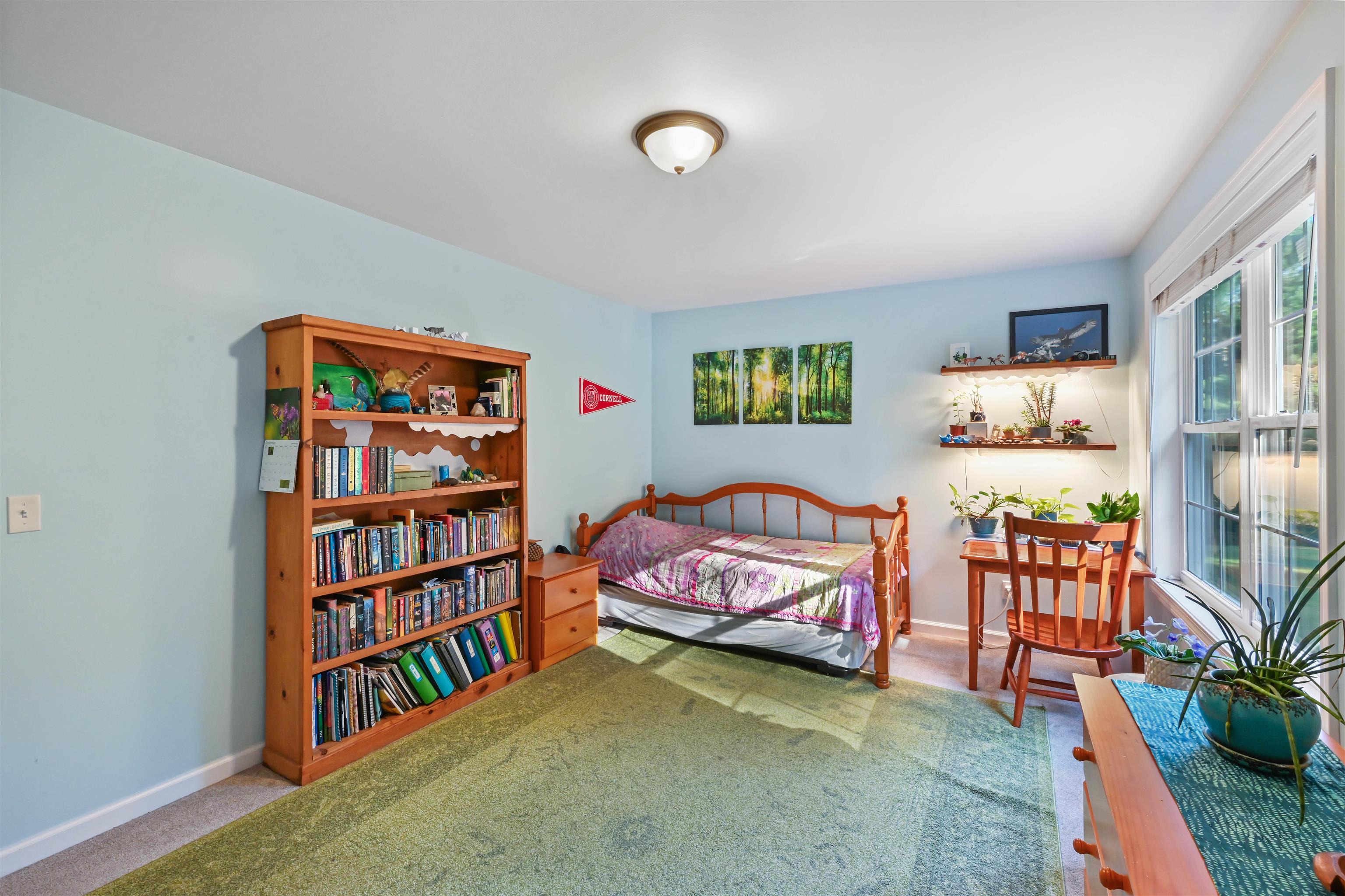 151 Colden Road