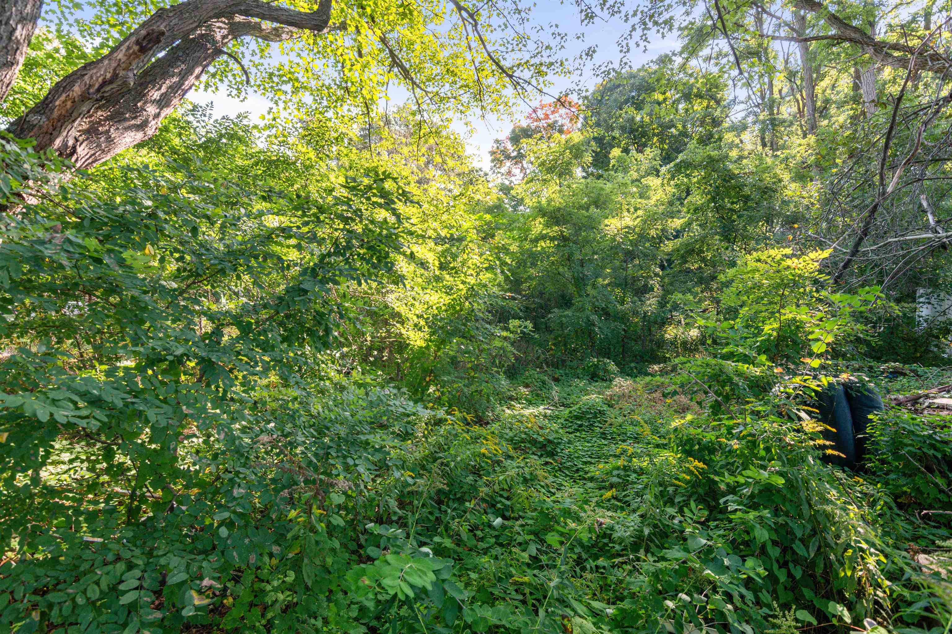 5124 Williston Road