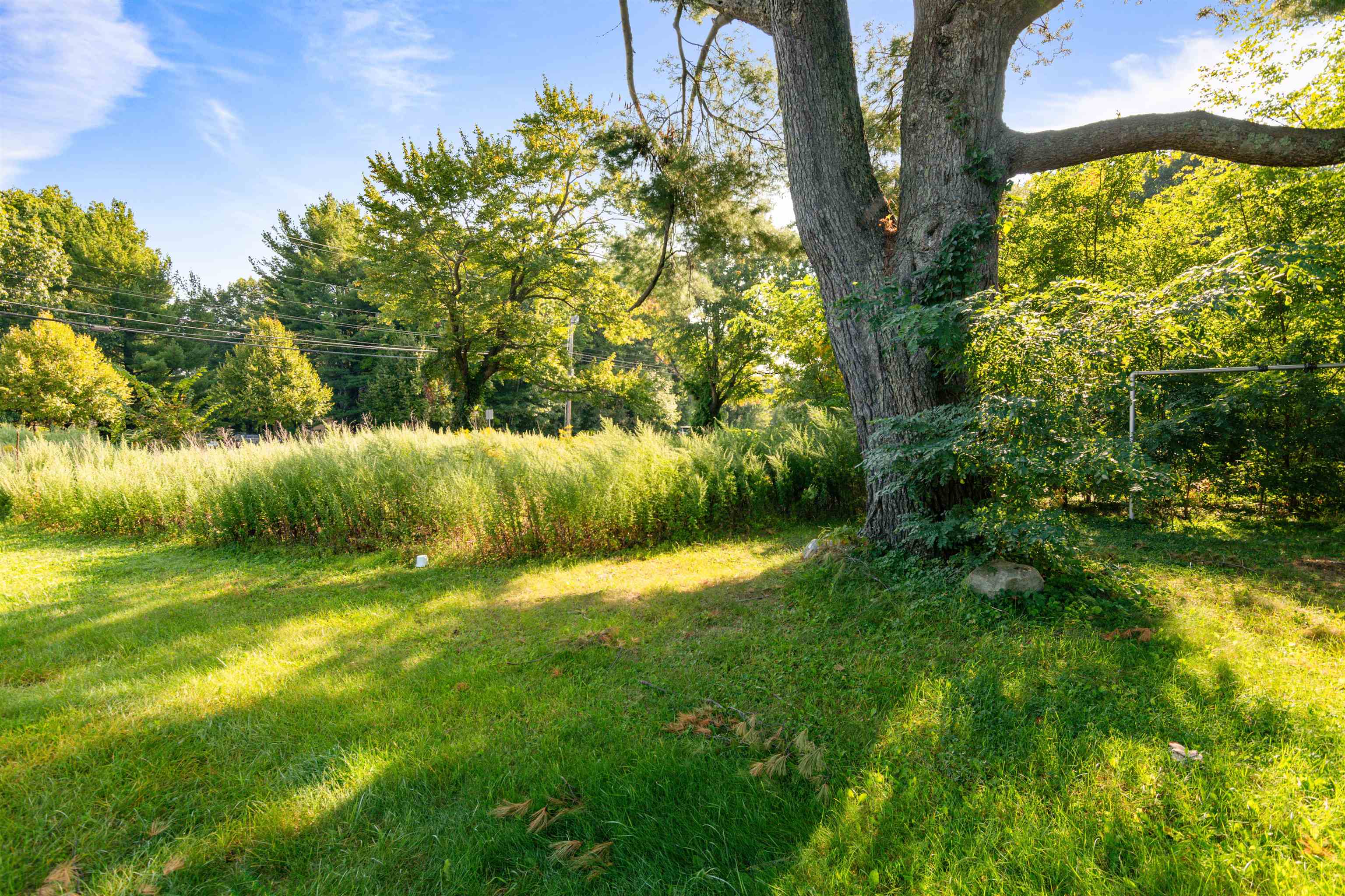 5124 Williston Road