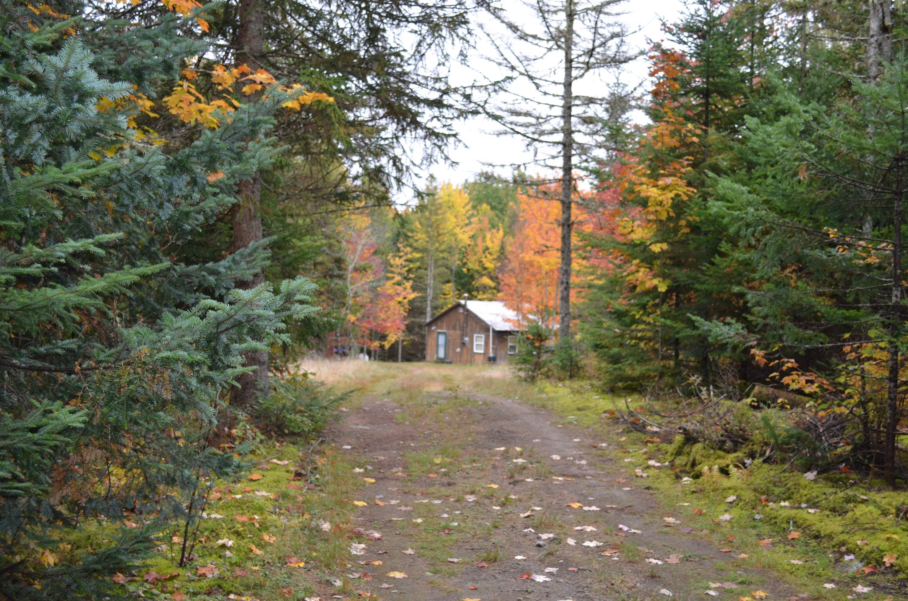 205 Deer Ridge Road