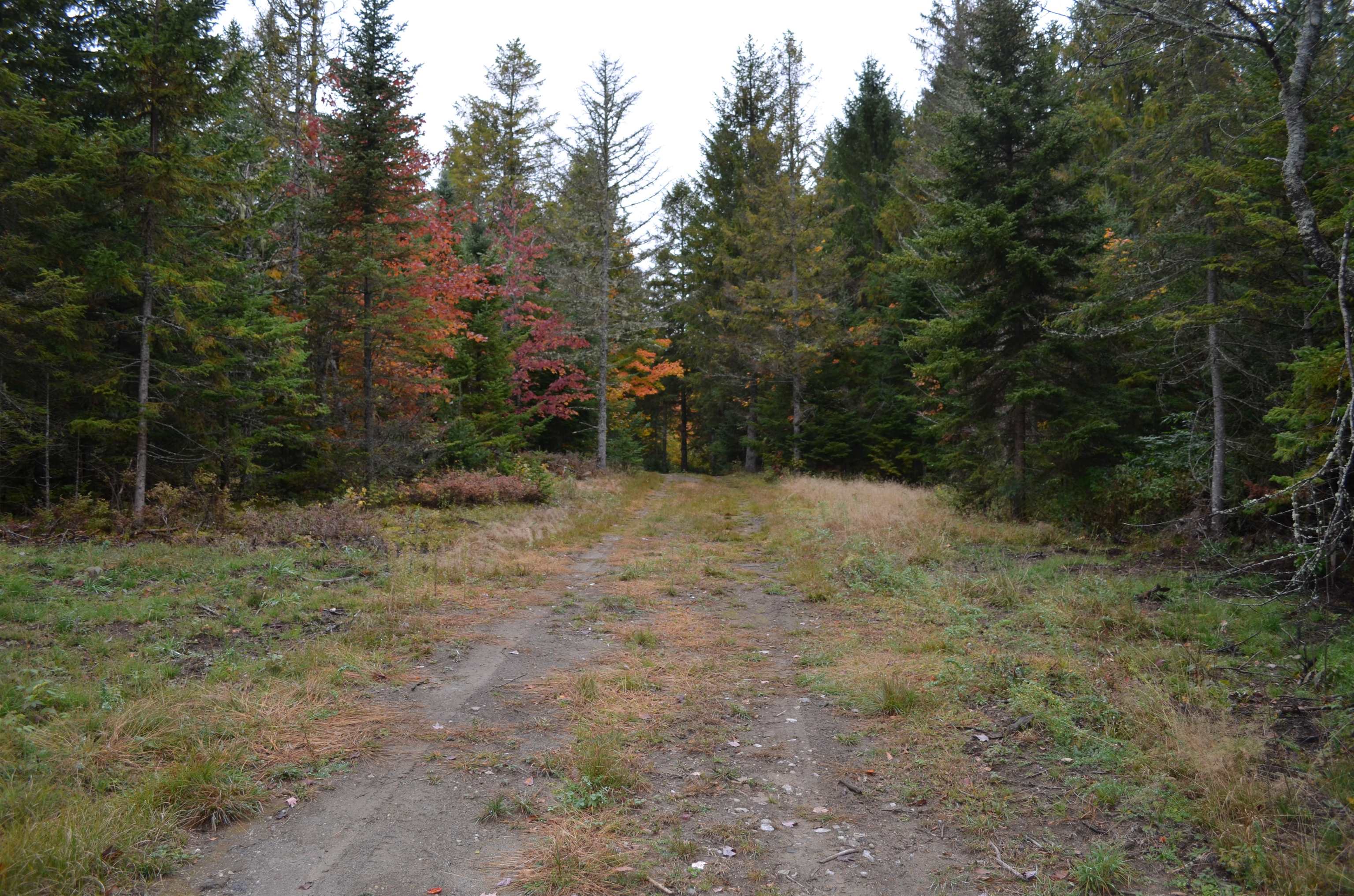 205 Deer Ridge Road
