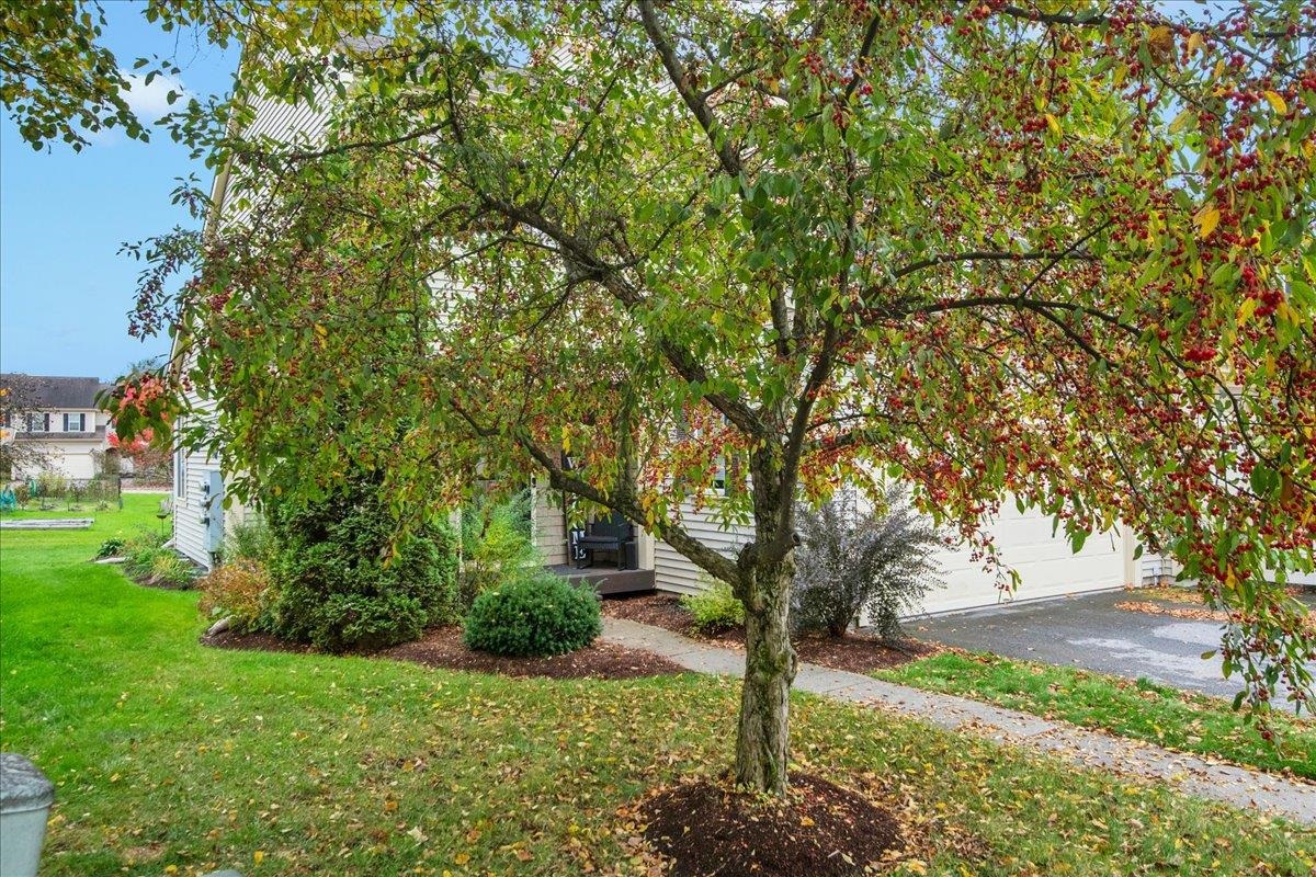 15 Cardinal Lane