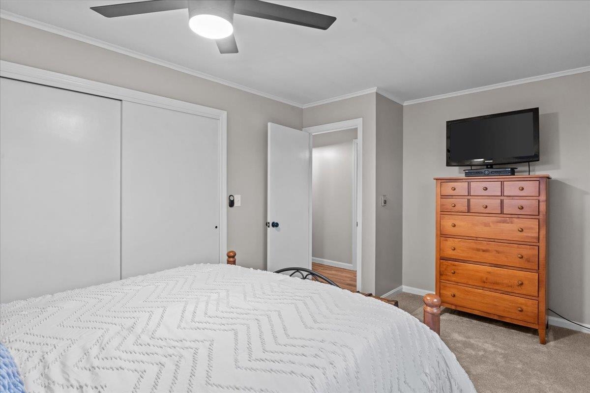 73 Mitchell Road