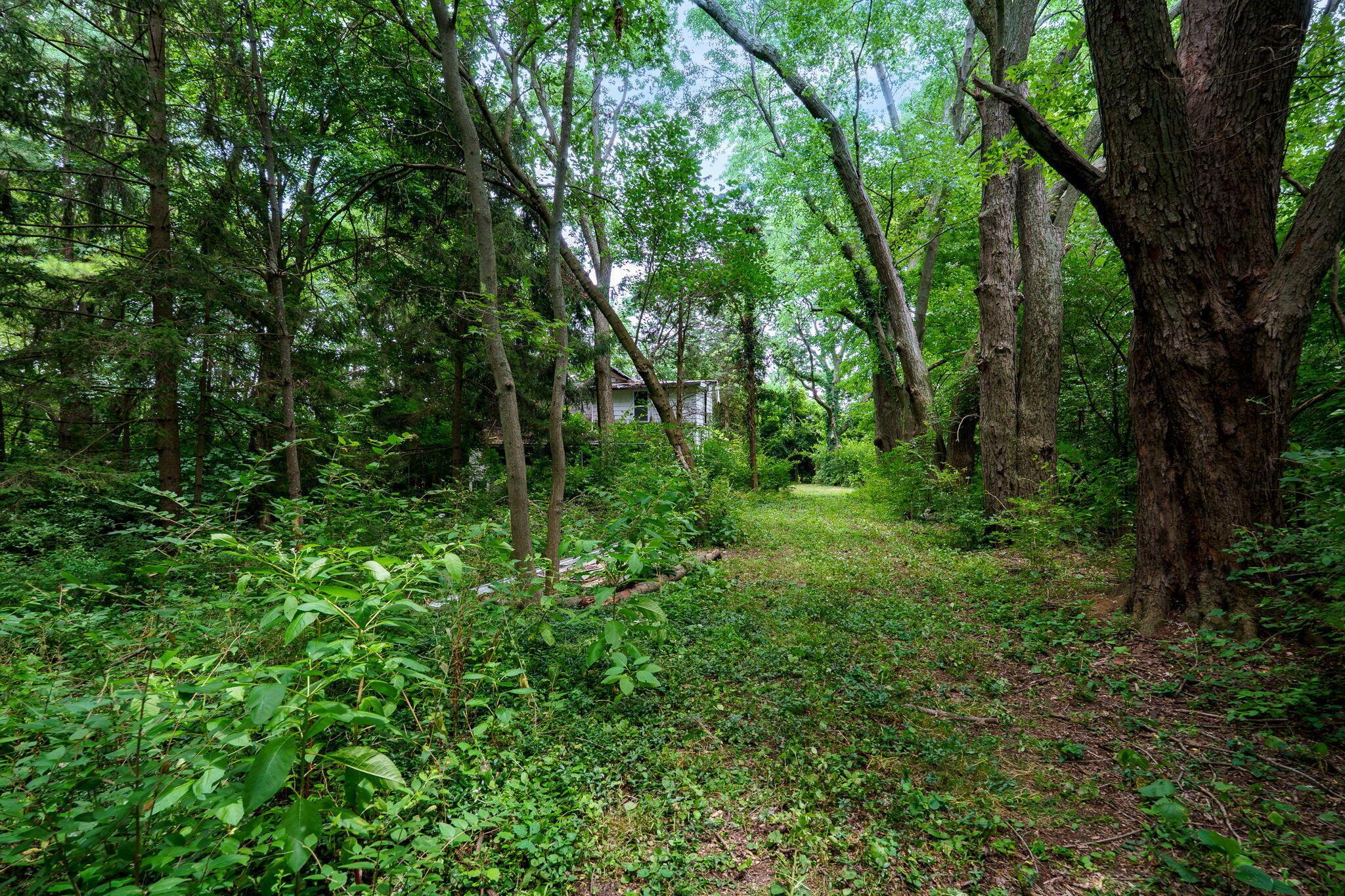 4004 Sintz Road