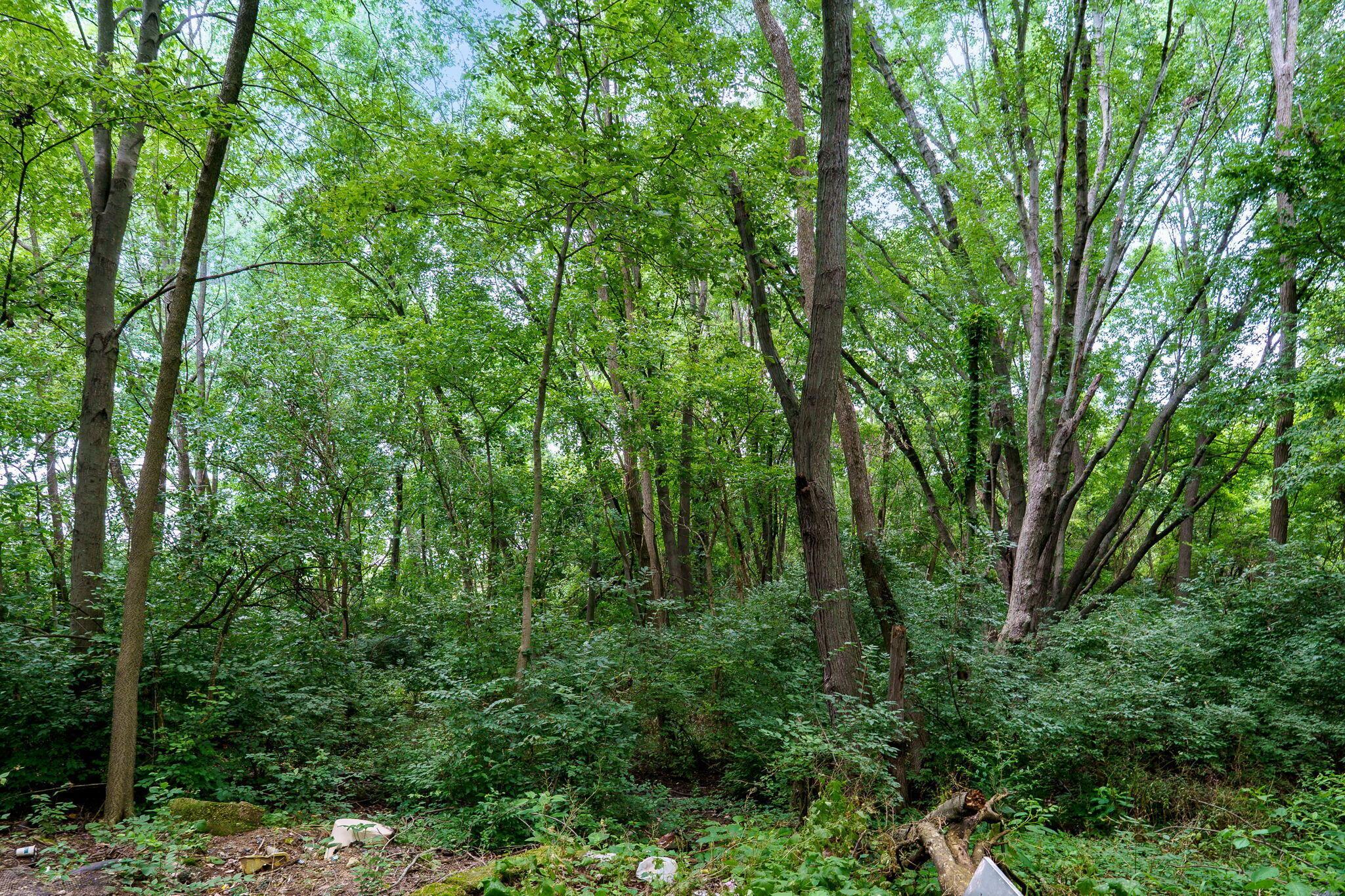 4004 Sintz Road