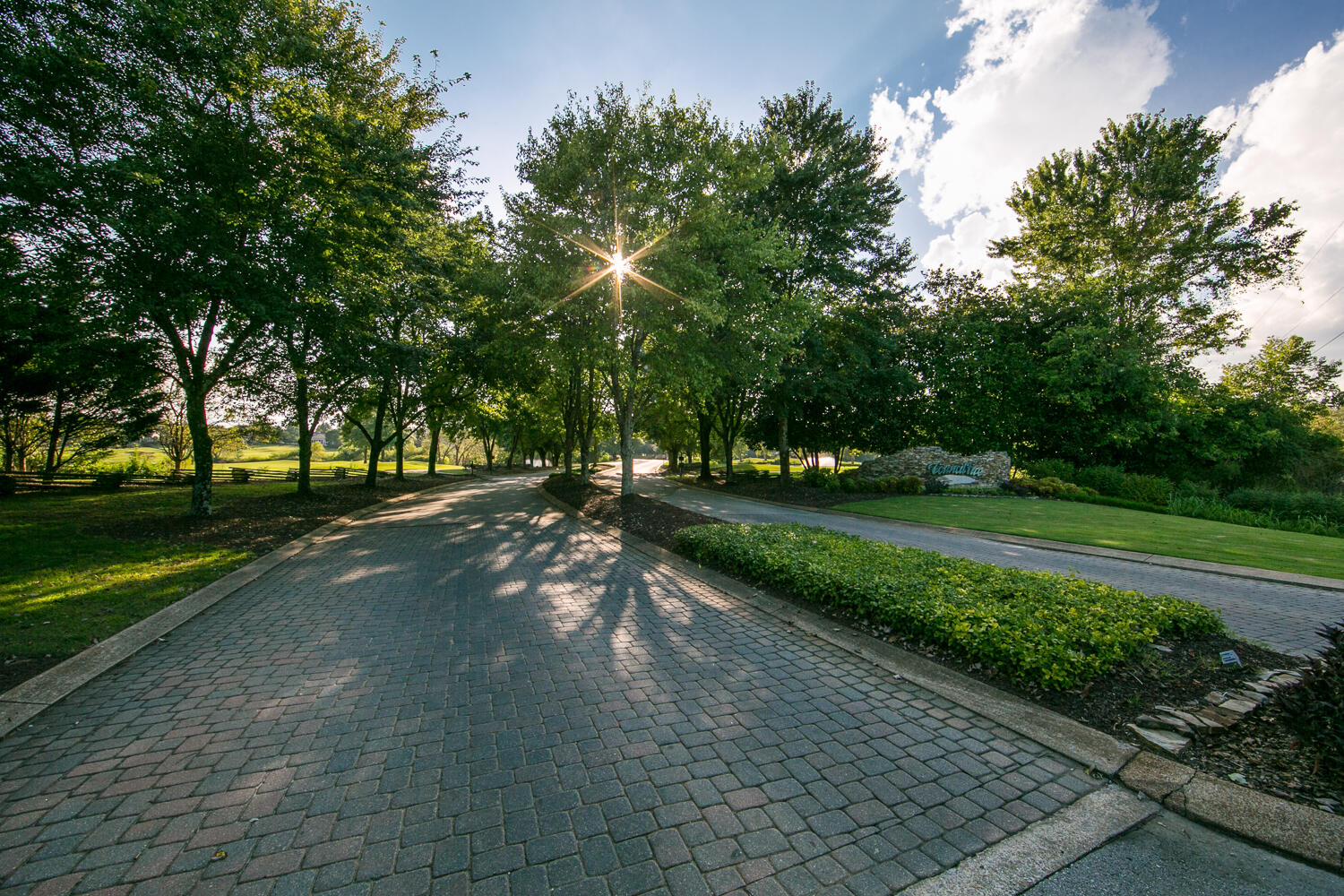 8011 Dancing Fern Trail