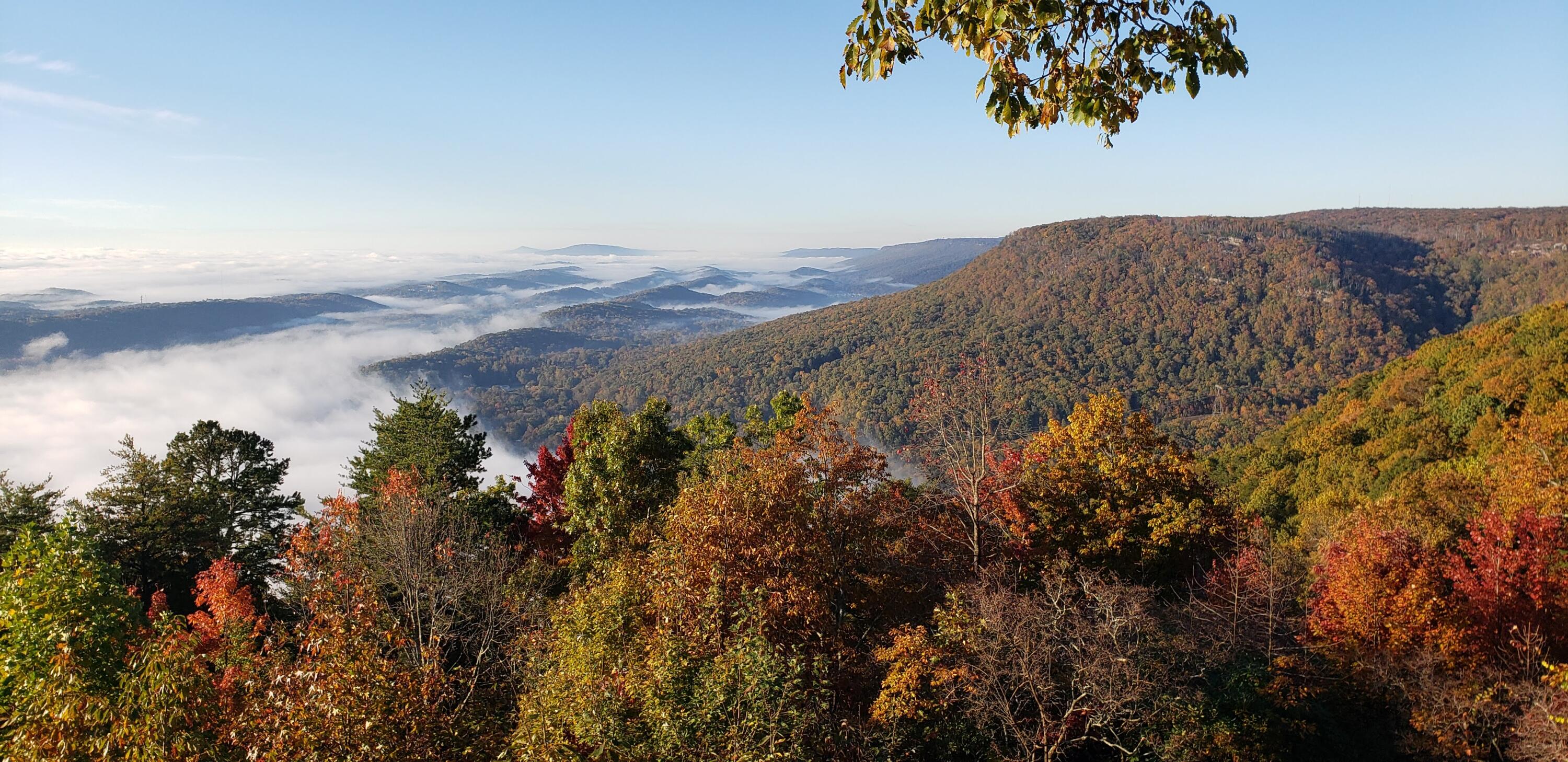 921 Rose Marie Court