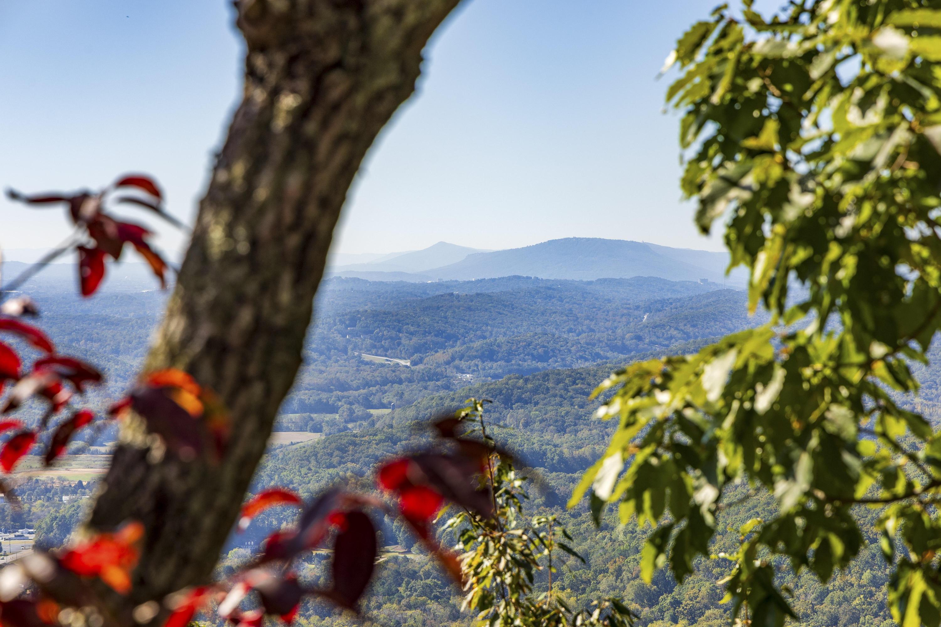 921 Rose Marie Court