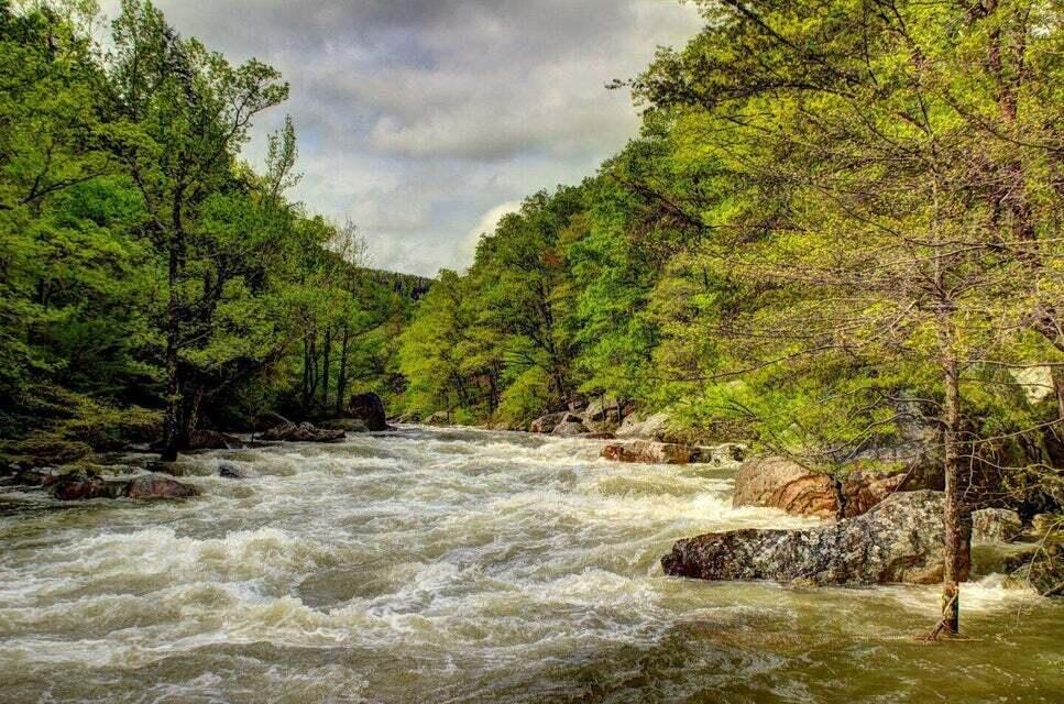 921 Rose Marie Court