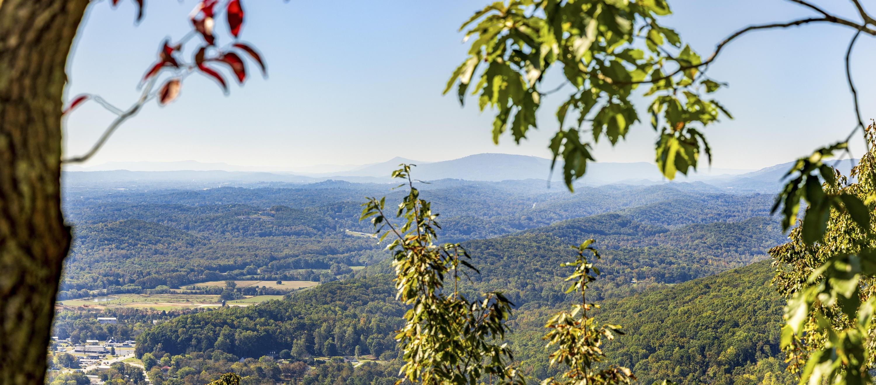 921 Rose Marie Court