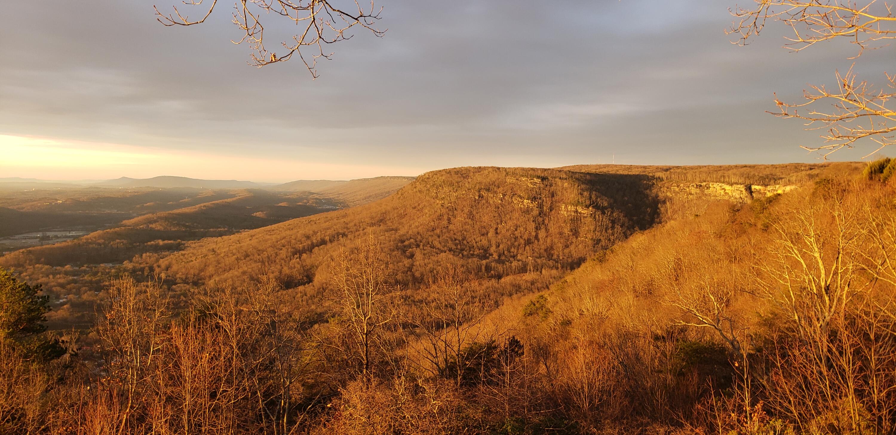 921 Rose Marie Court