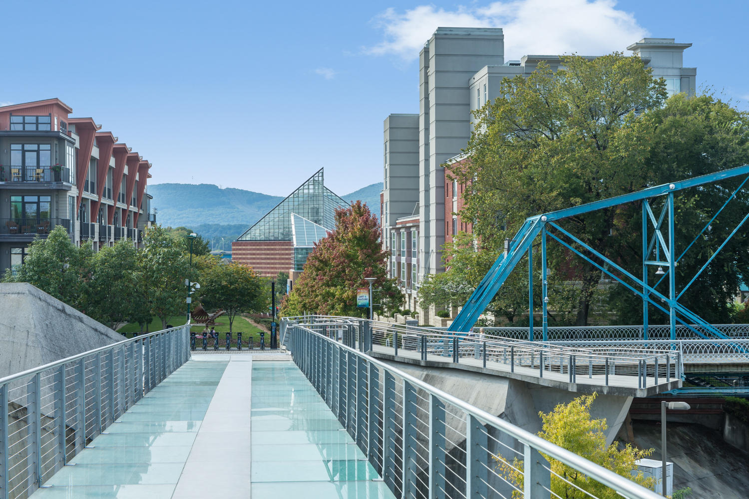 517 Hill Pointe Lane