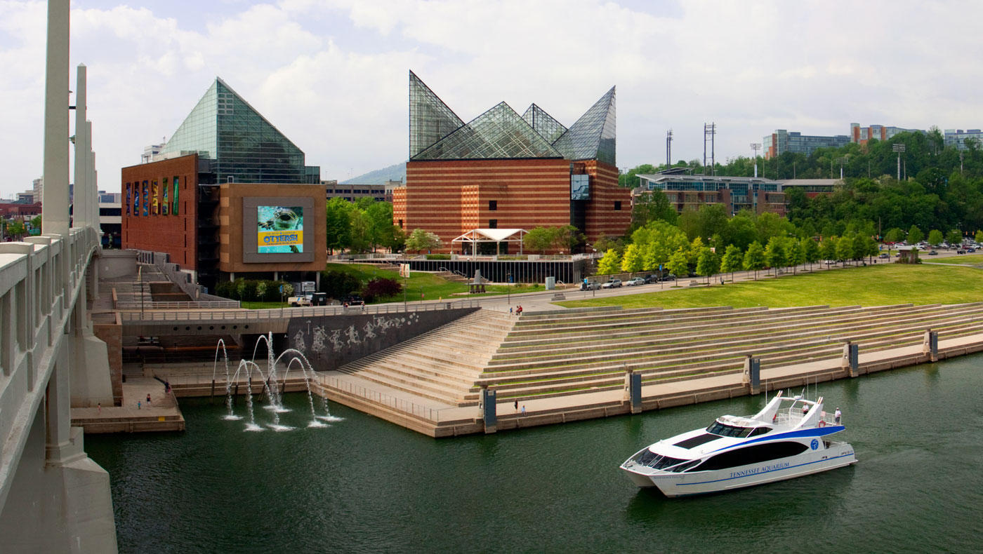 517 Hill Pointe Lane