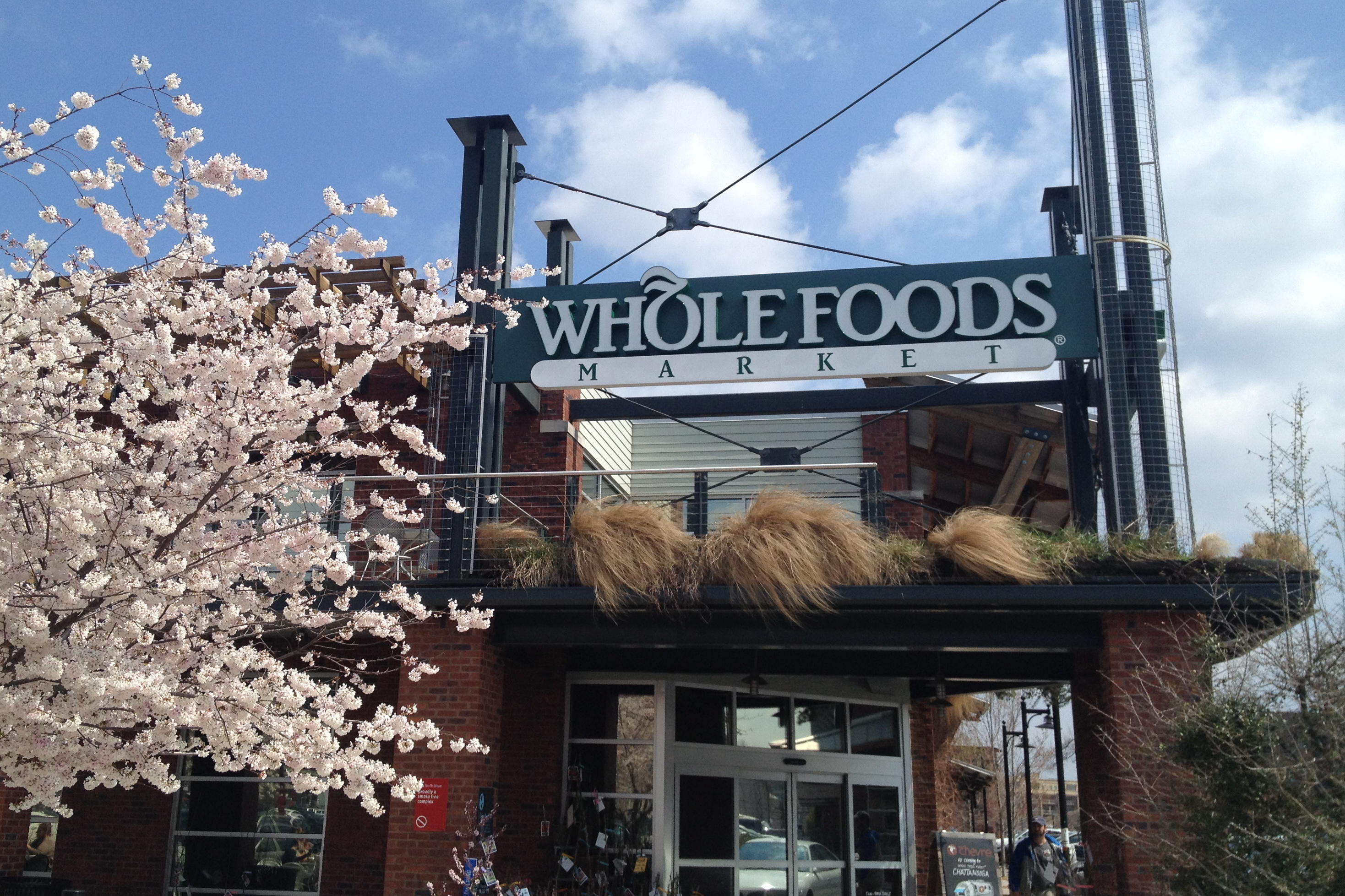 517 Hill Pointe Lane