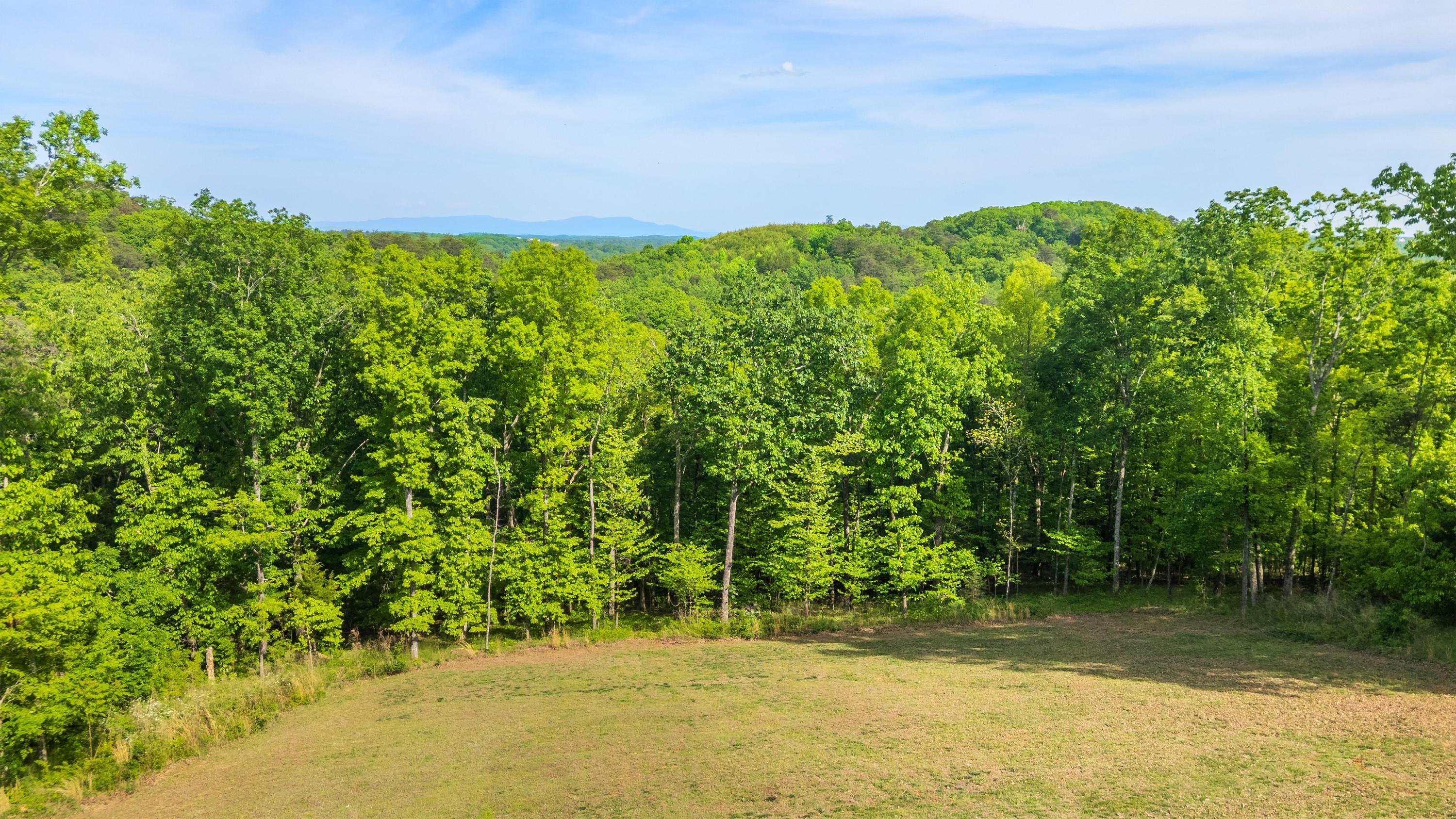 2214 Horizons View Drive