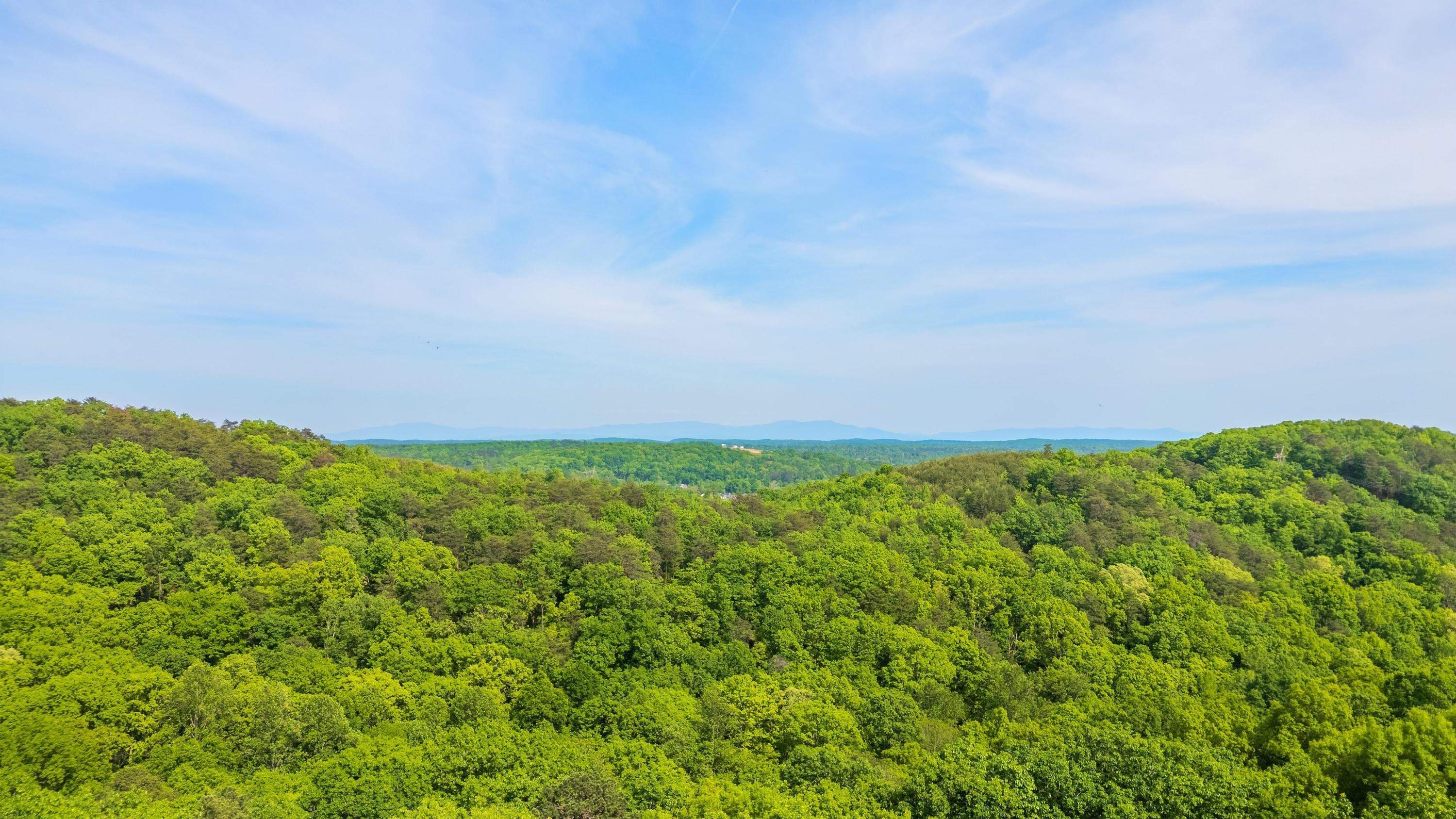 2214 Horizons View Drive