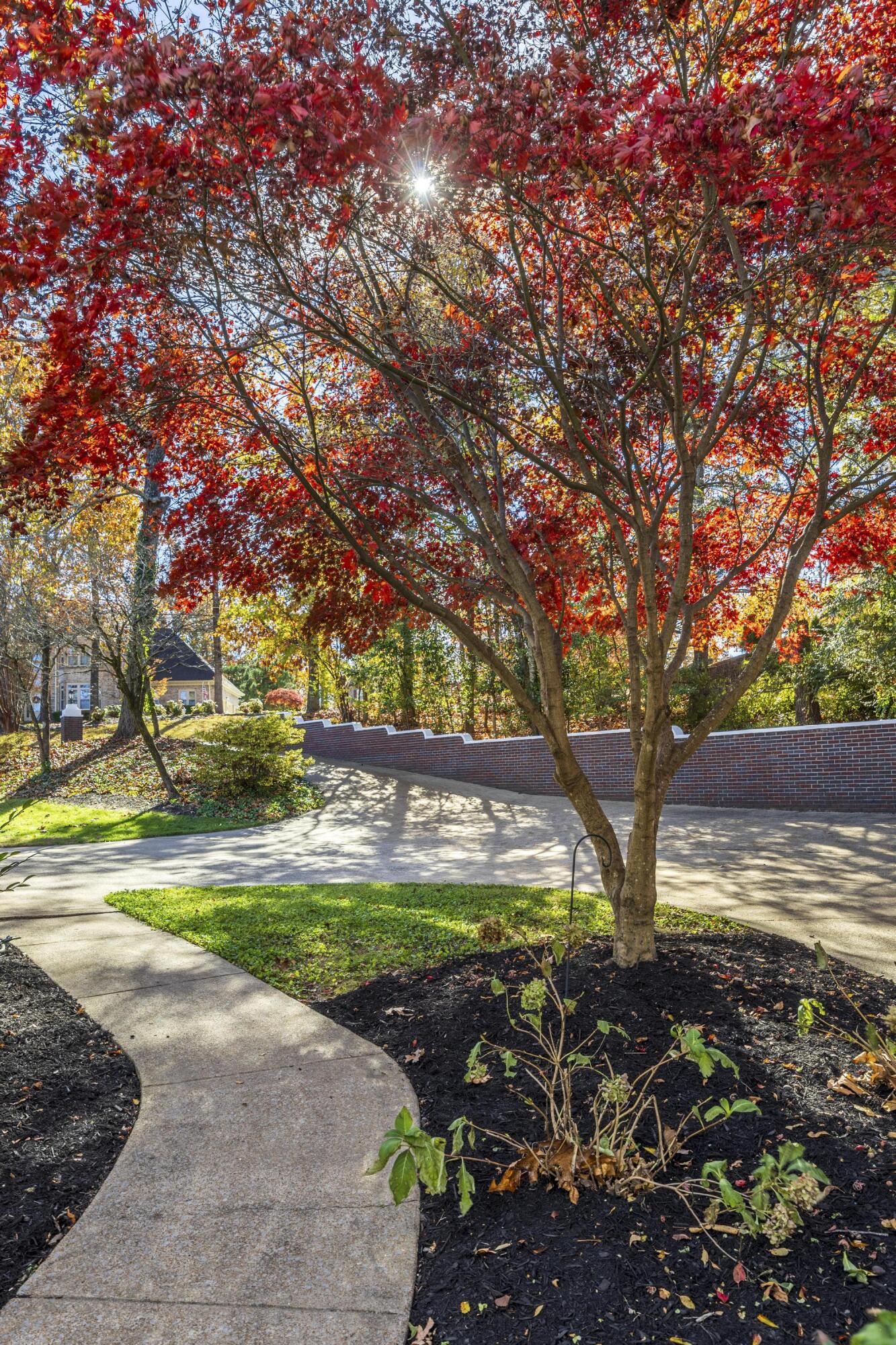 711 Sunset Mountain Drive