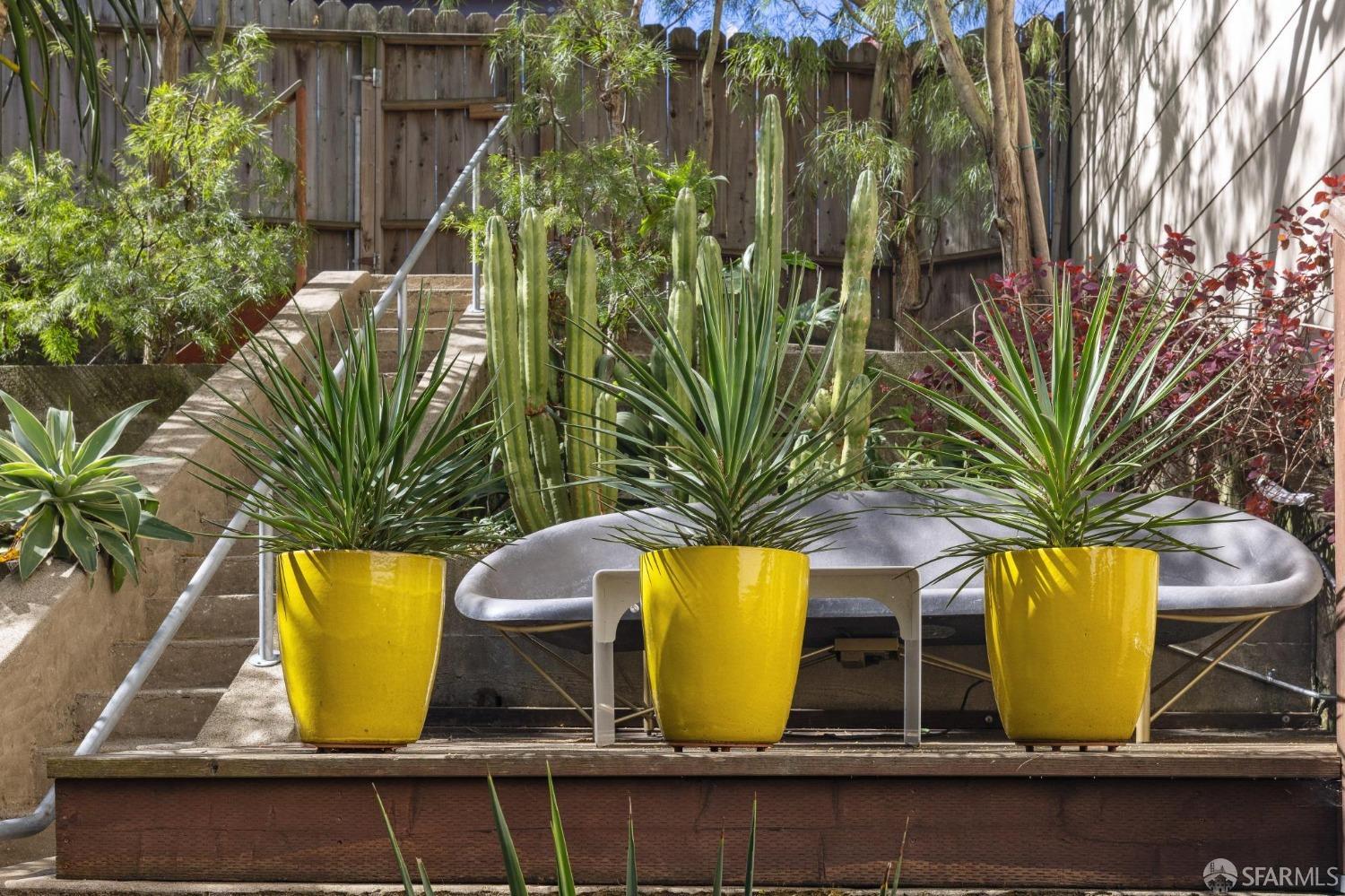 1157 Broderick Street