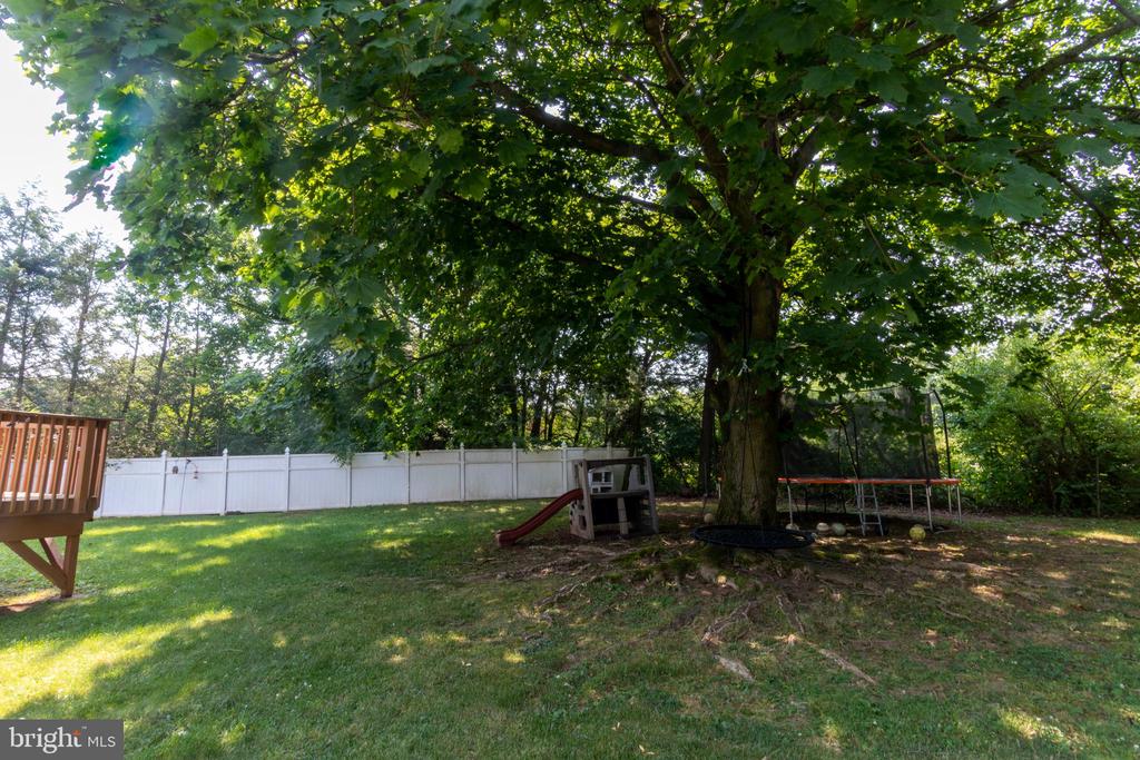 16 Pine Ave