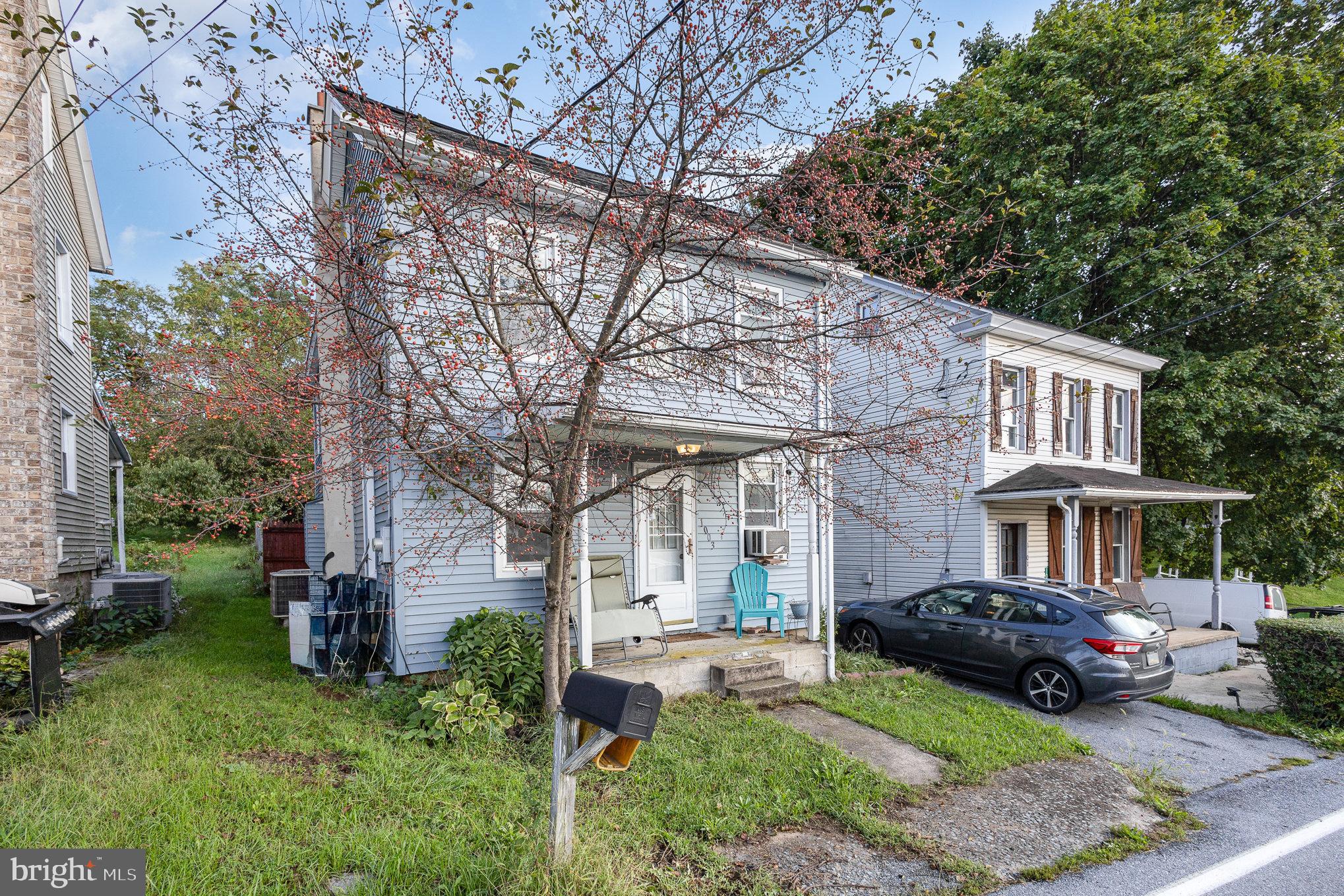 1003 Mechanic St