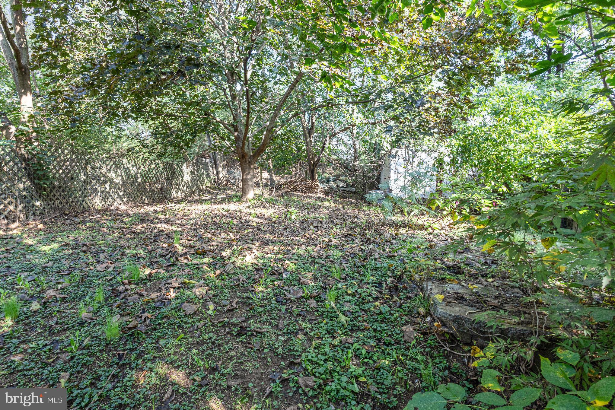 1003 Mechanic St