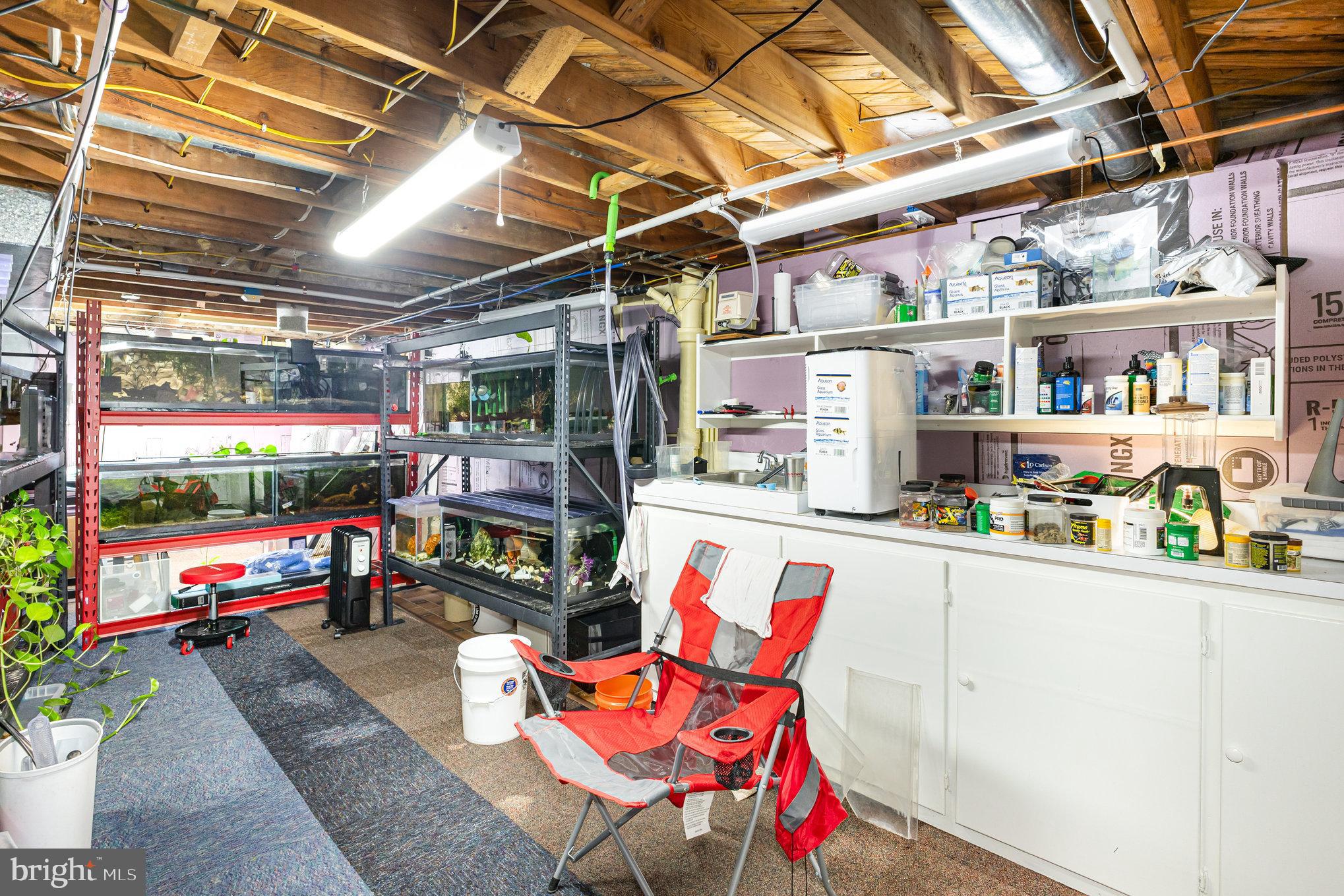 732 E GUILFORD STREET