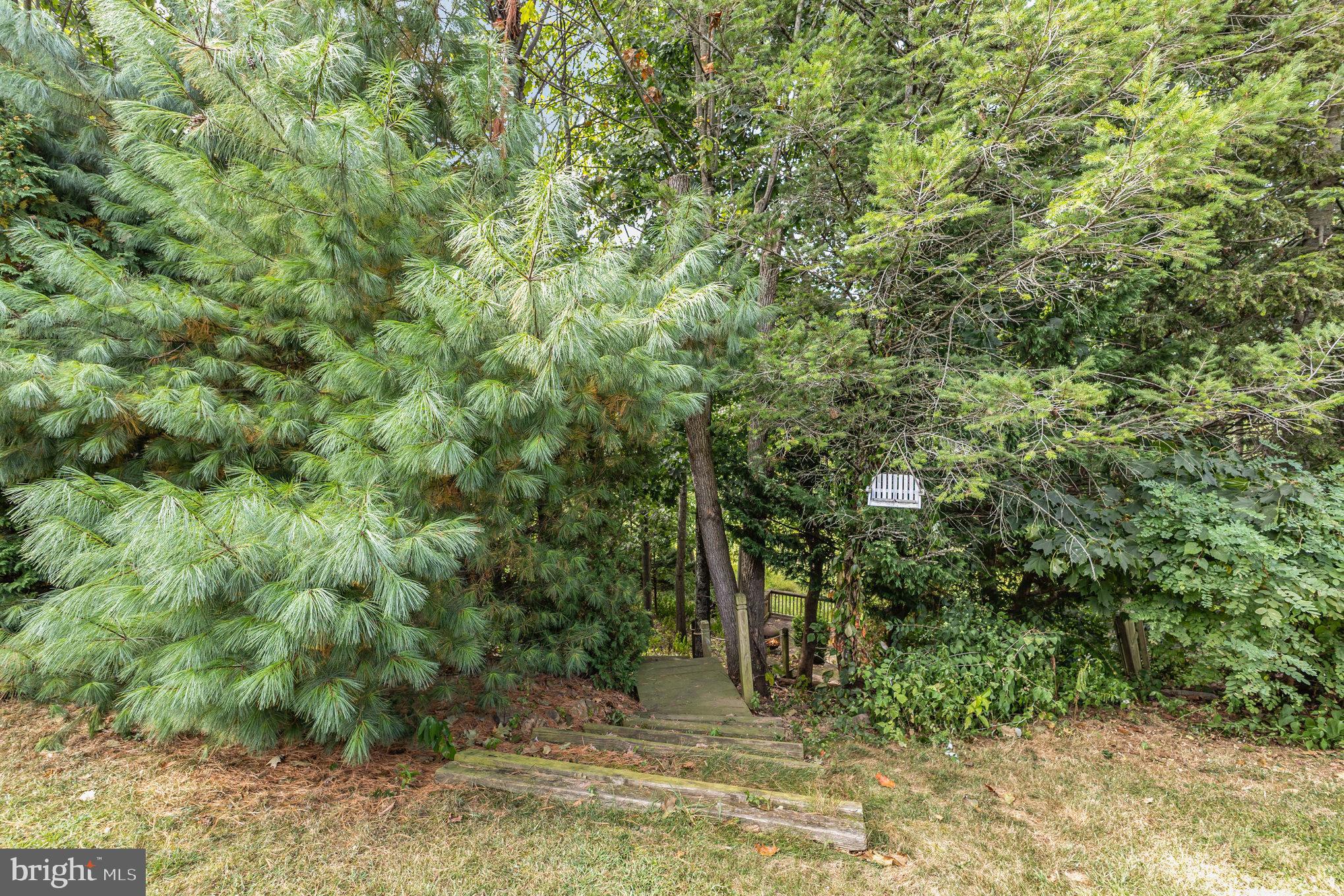 217 REDWOOD LANE