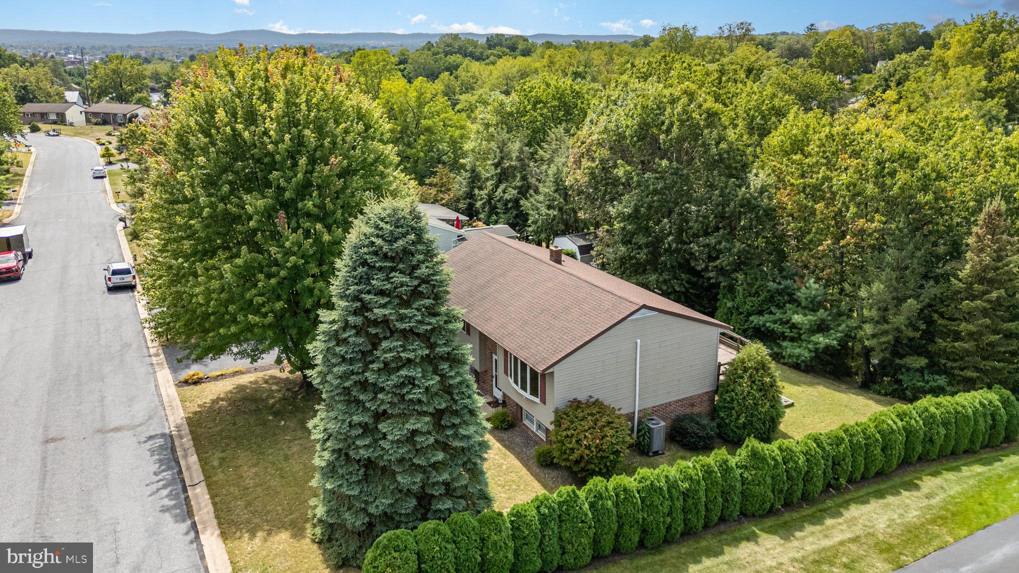 217 REDWOOD LANE