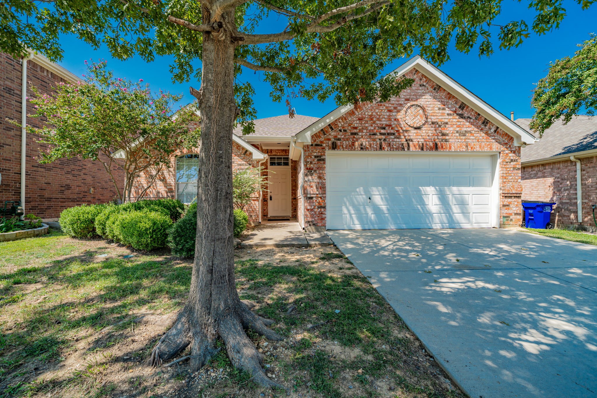 2142 Bluebell