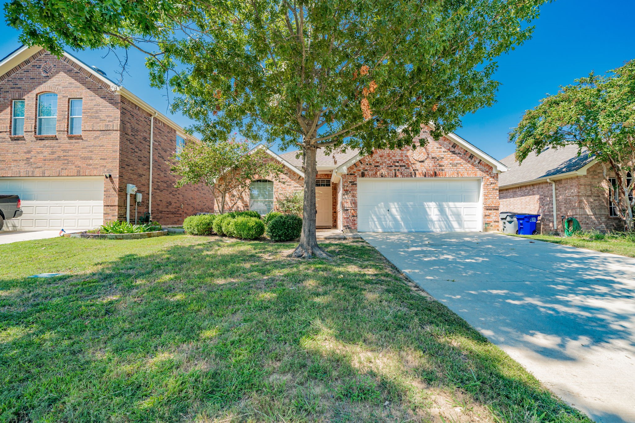 2142 Bluebell