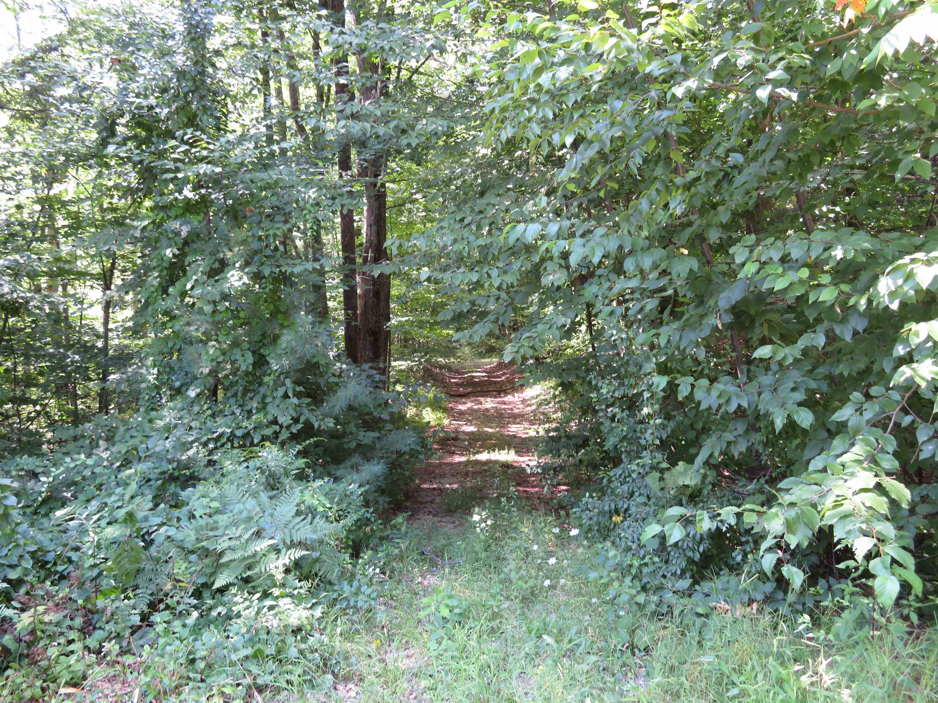 0 Everett Road Extension