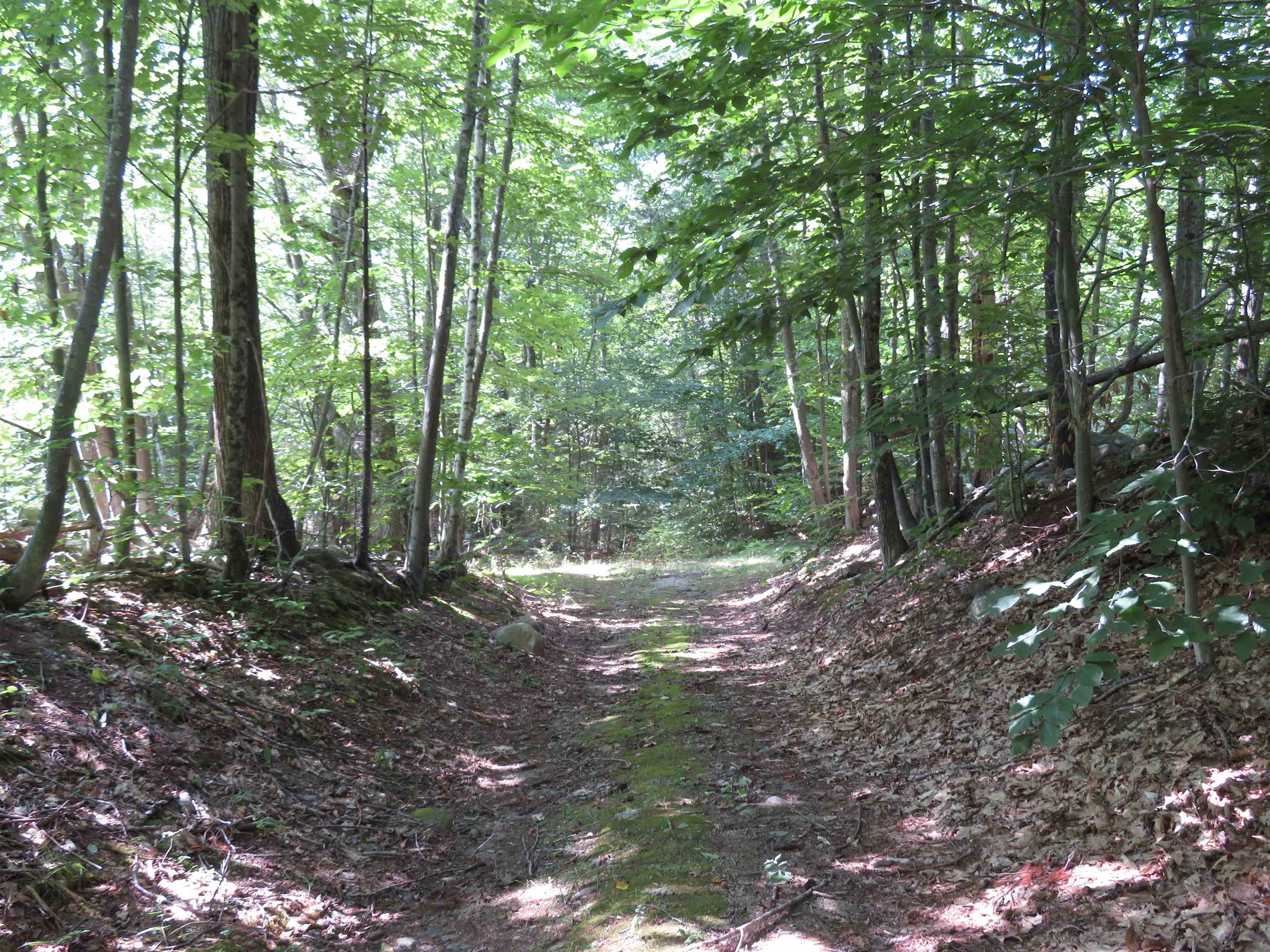 00 Everett Road Extension