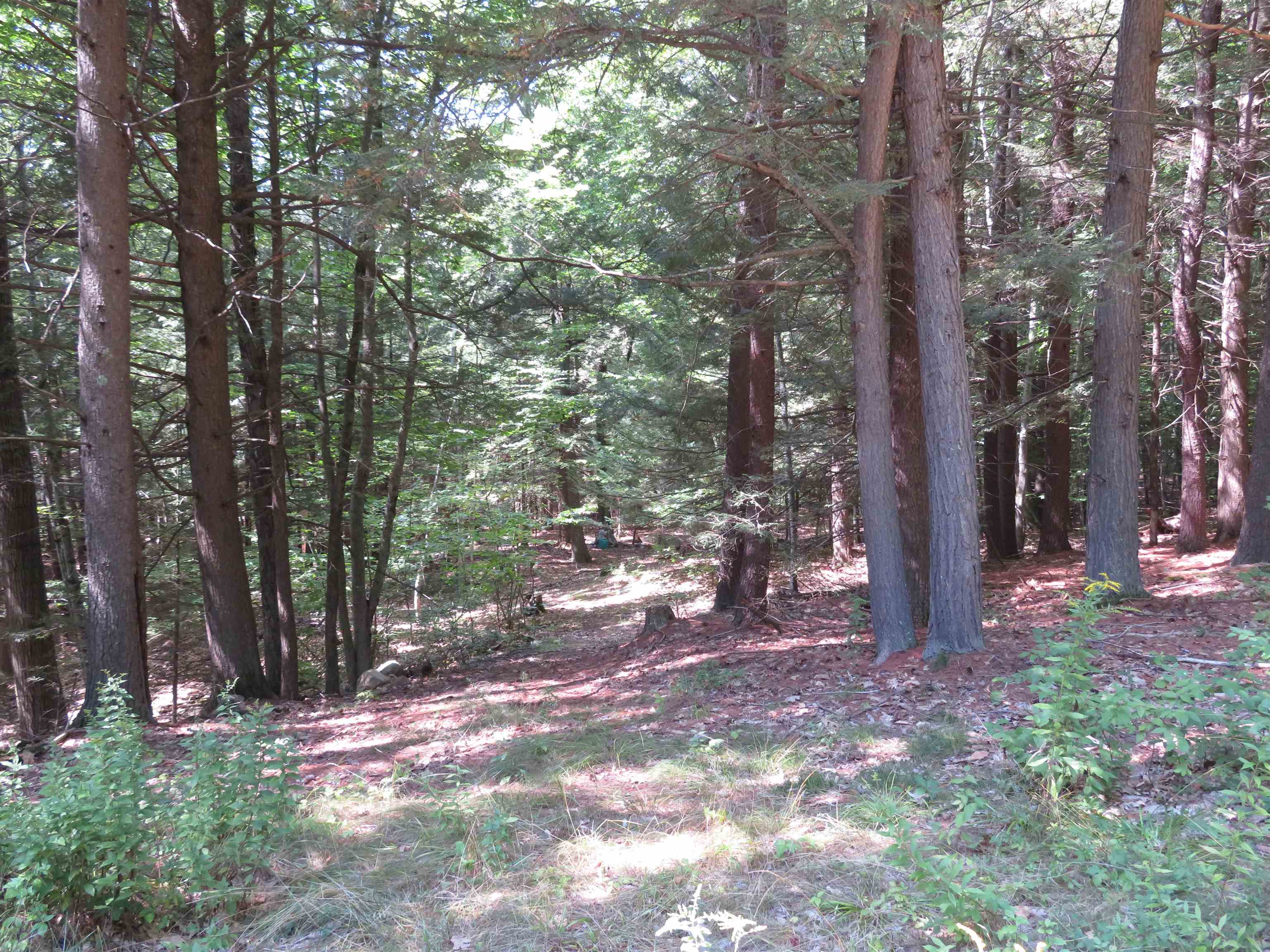 00 Everett Road Extension