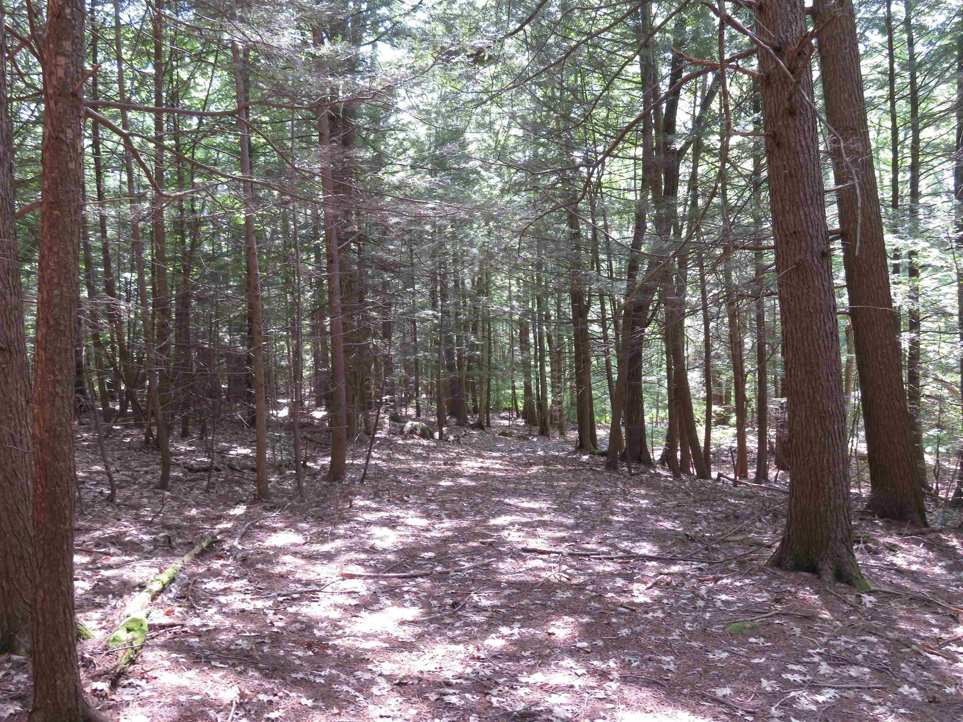 00 Everett Road Extension