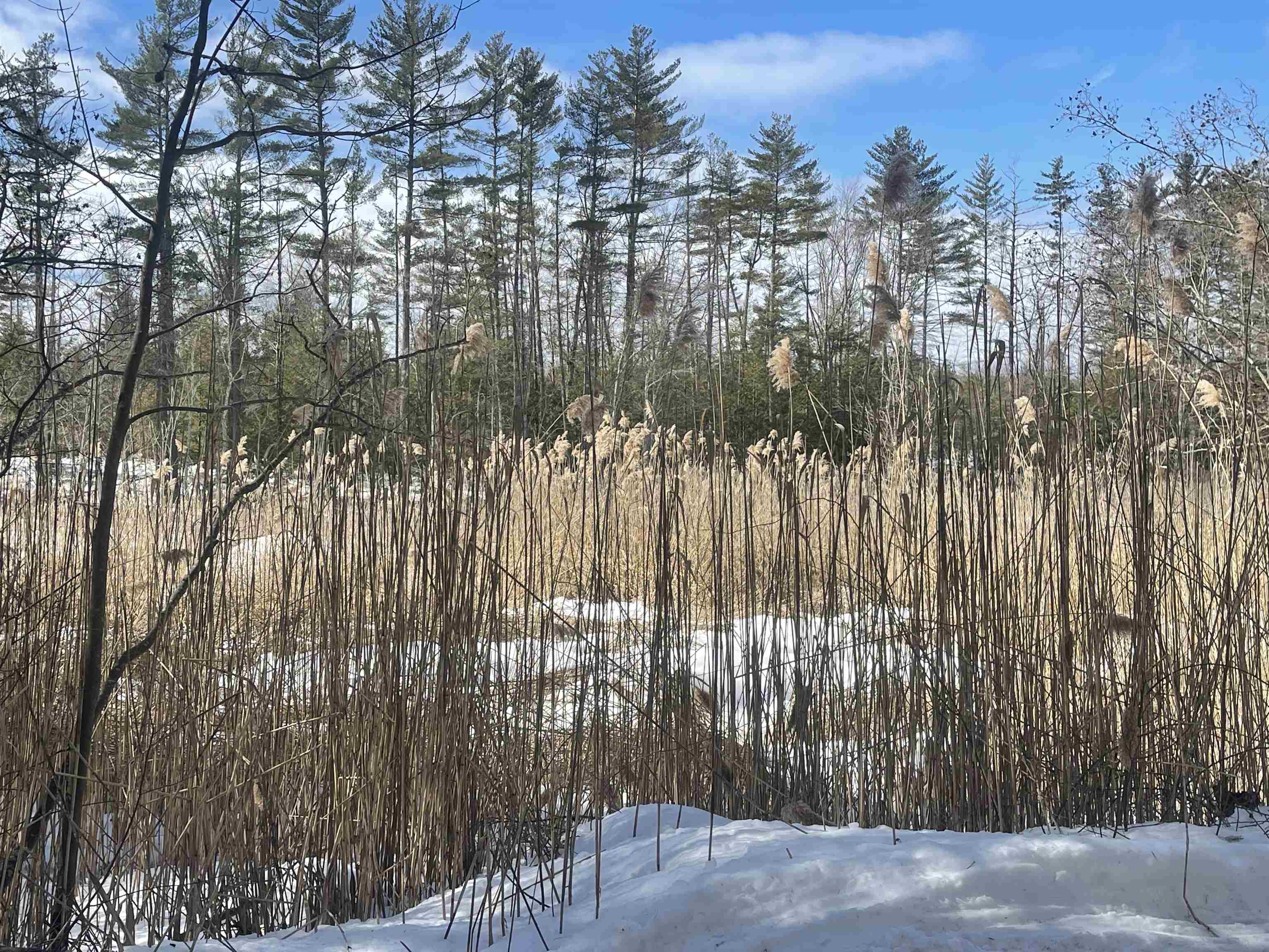 68-74 Branch Londonderry Turnpike